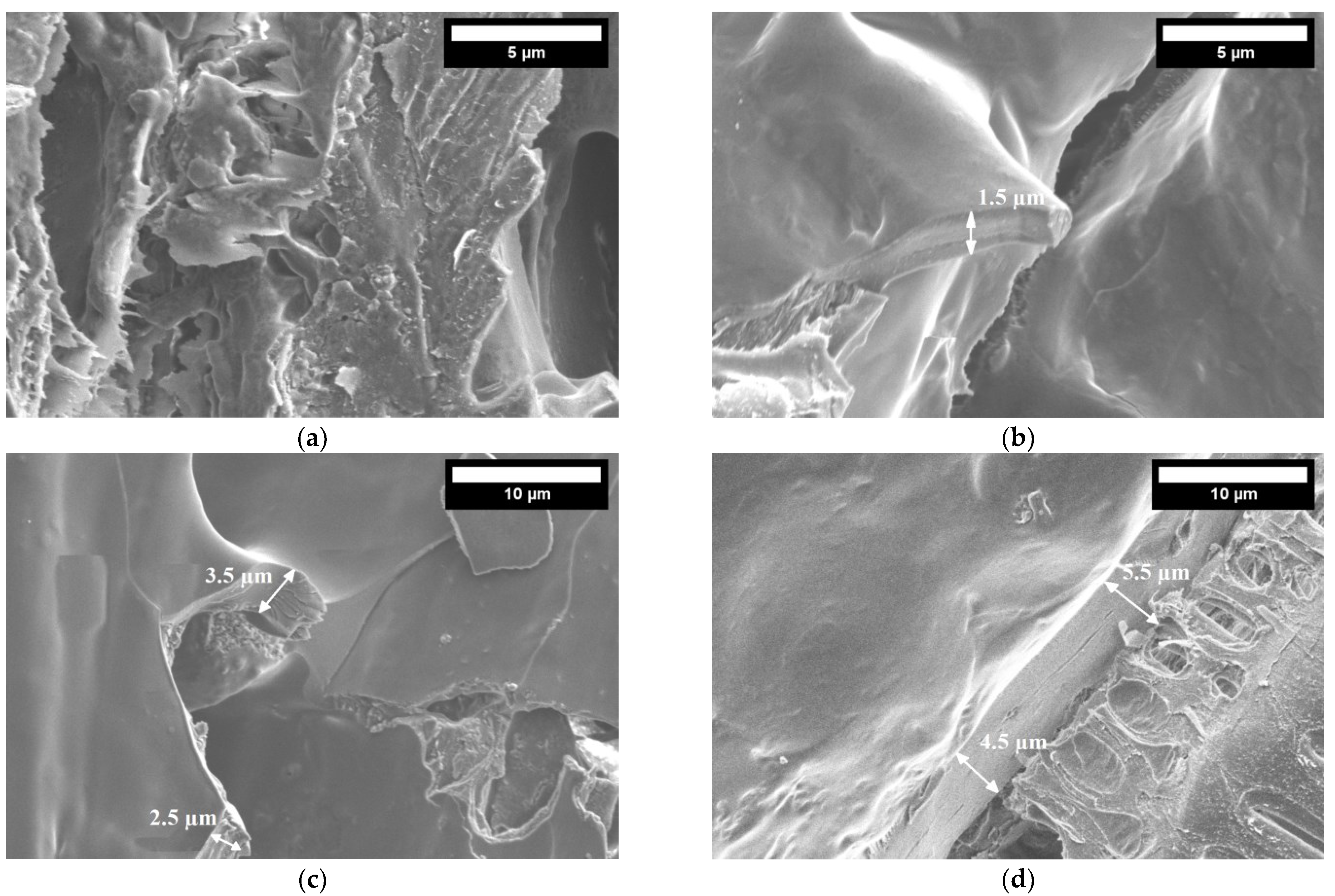 Materials 16 05003 g020