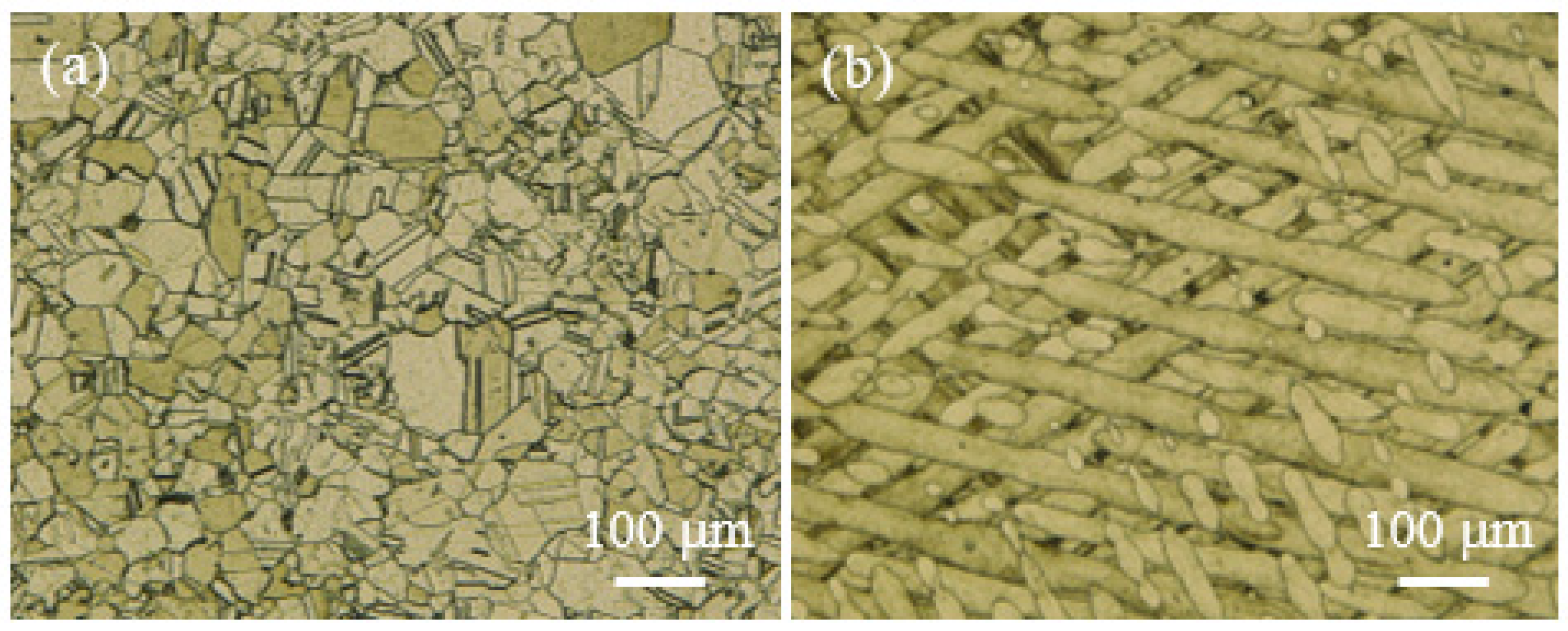 Materials 16 05020 g003