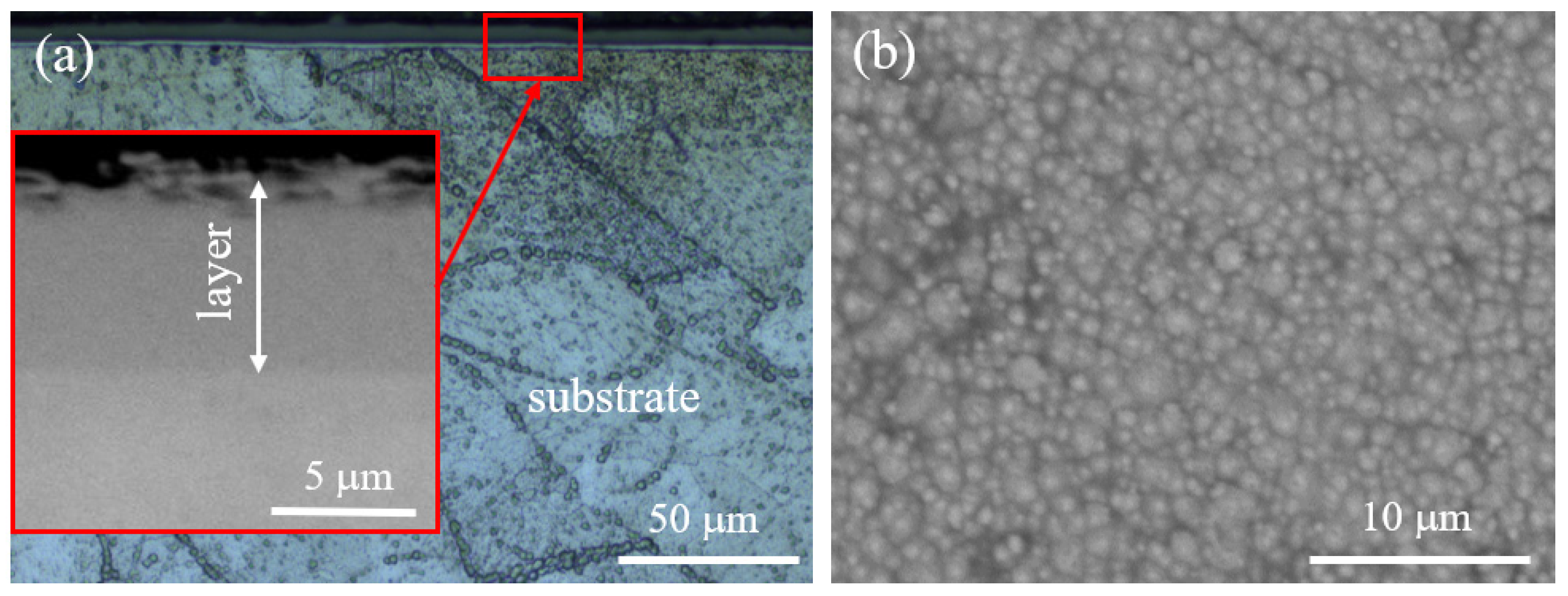 Materials 16 05020 g005