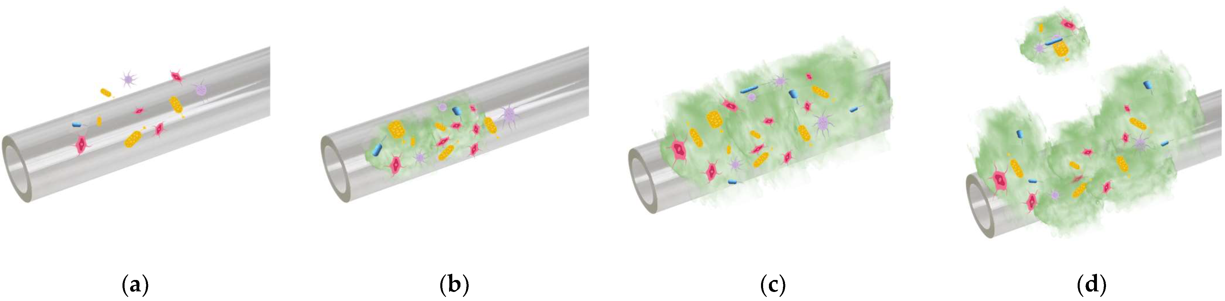 Materials 16 05034 g002