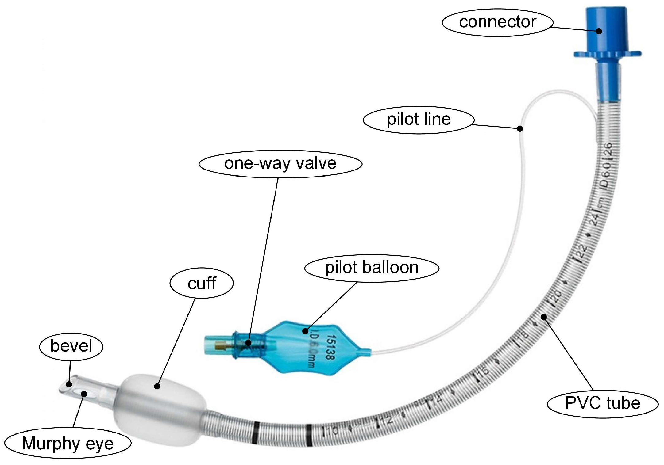 Materials 16 05034 g003