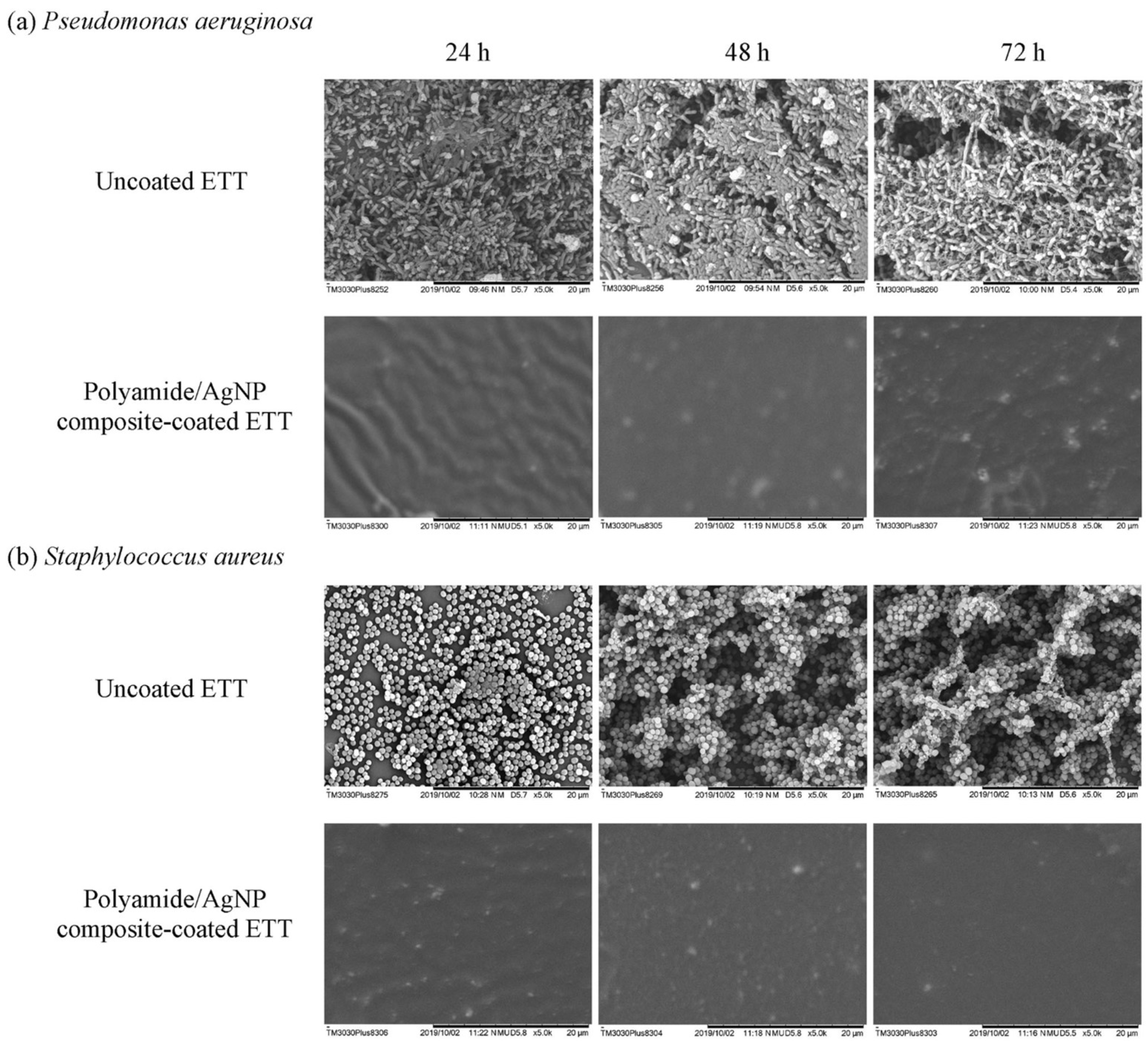 Materials 16 05034 g004