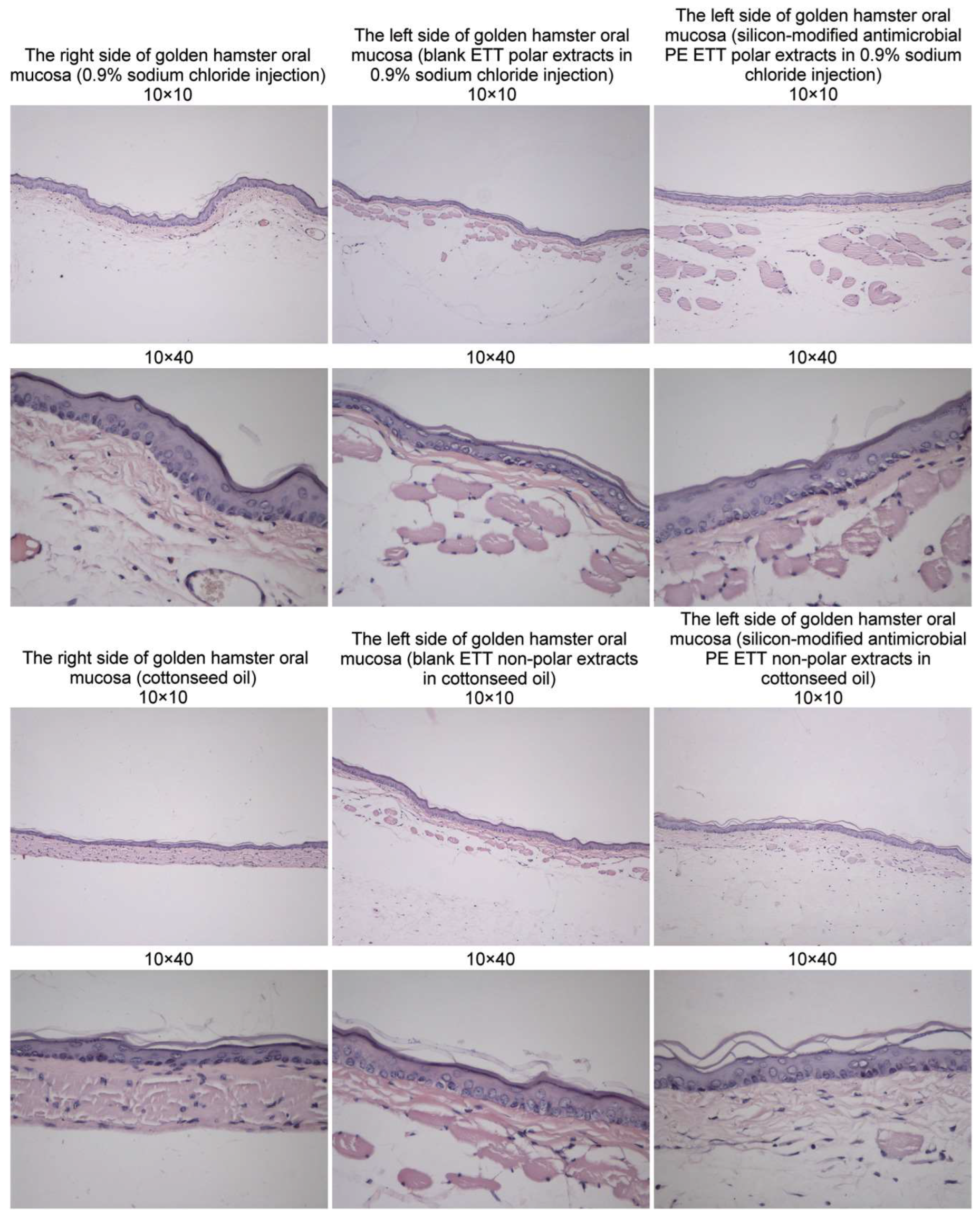 Materials 16 05034 g005