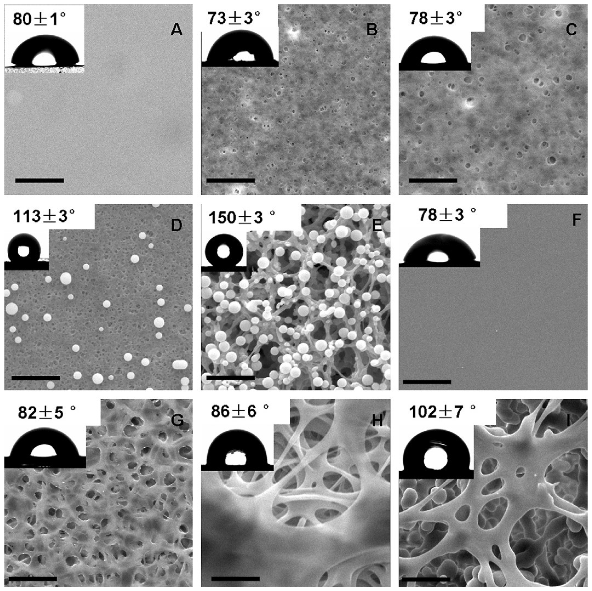 Materials 16 05034 g008