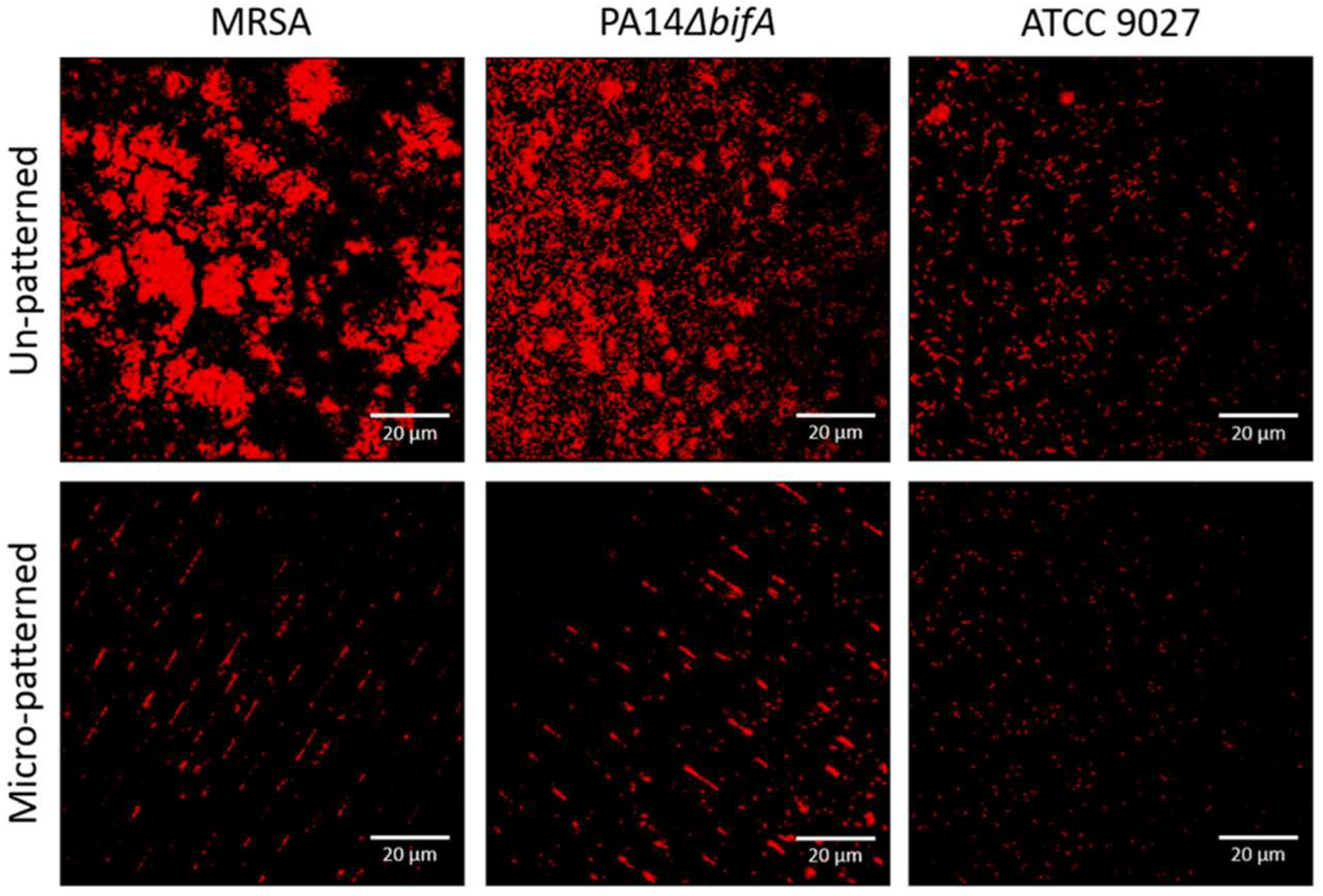 Materials 16 05034 g009