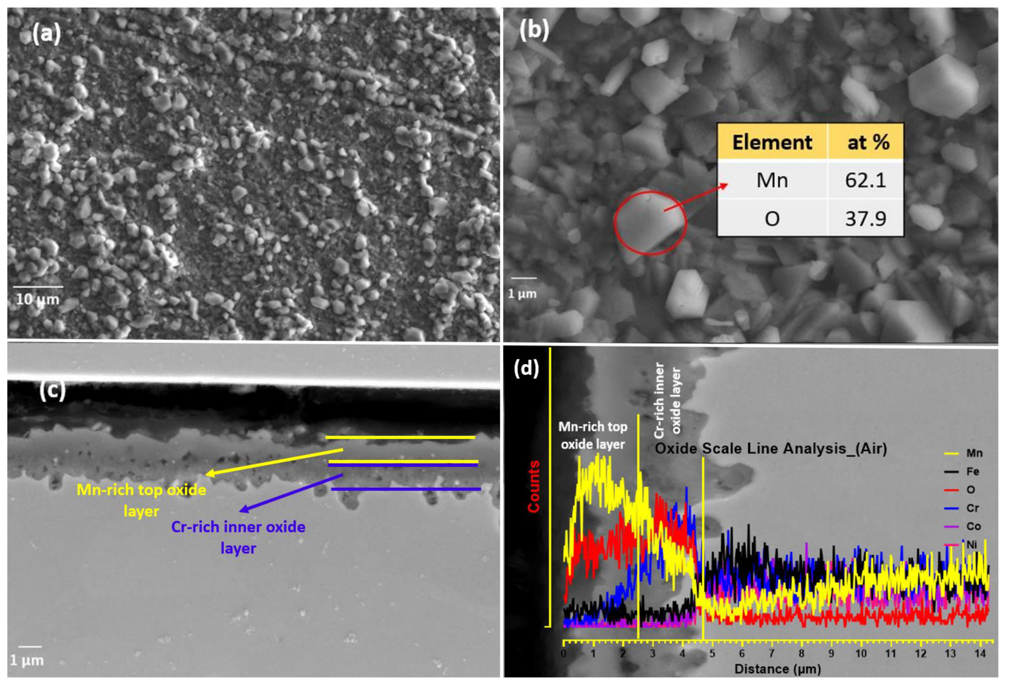 Materials 16 05042 g007