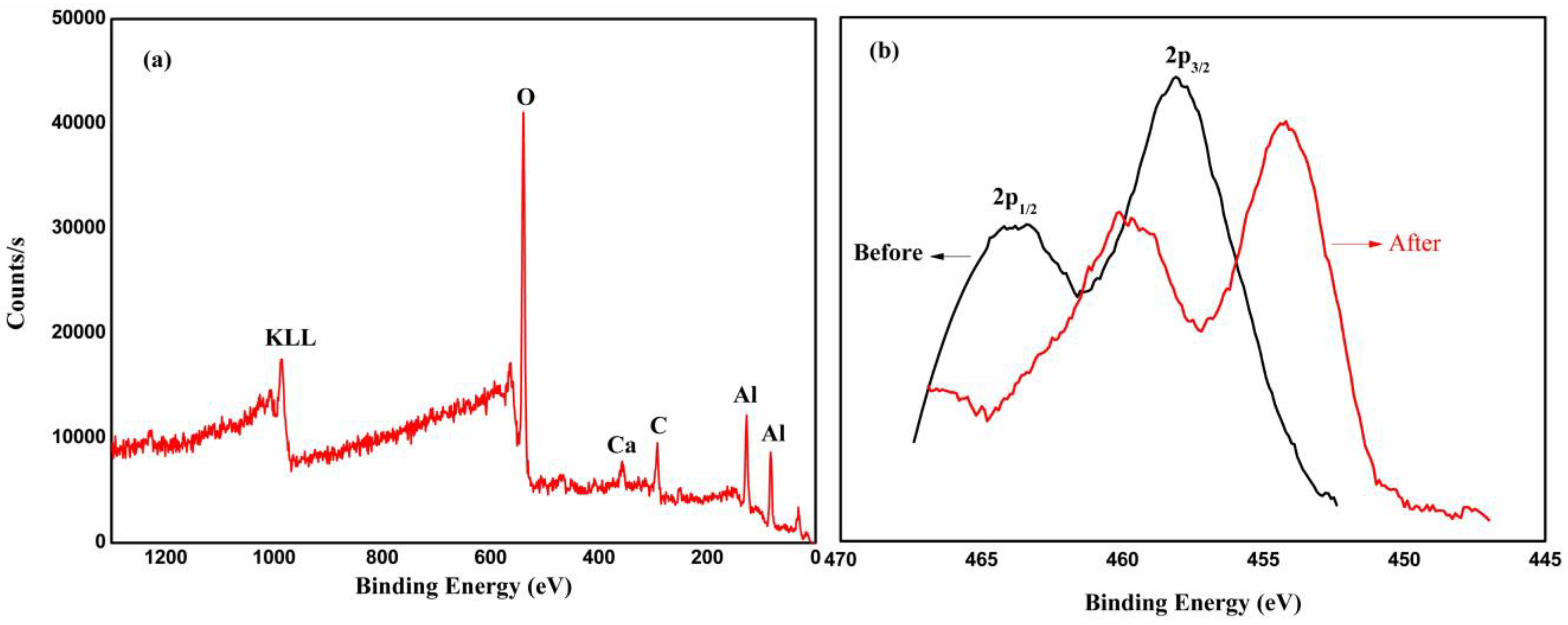 Materials 16 05048 g006