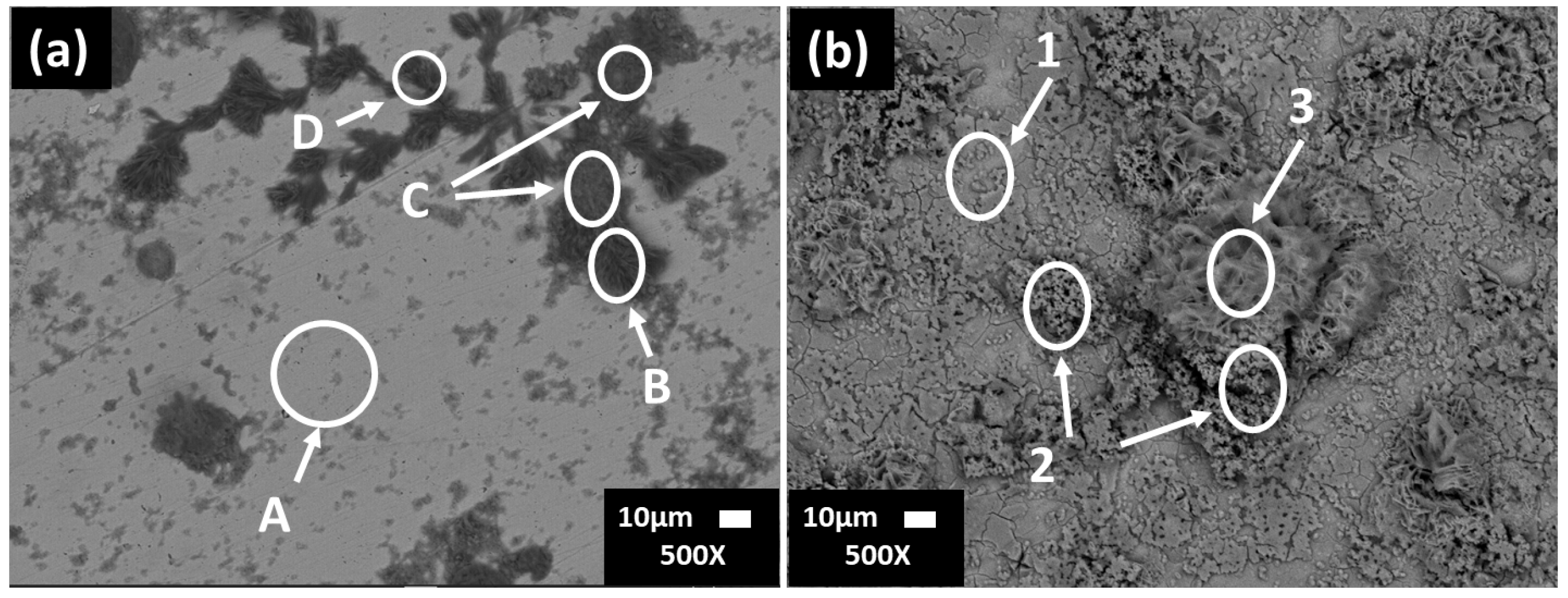 Materials 16 05066 g002