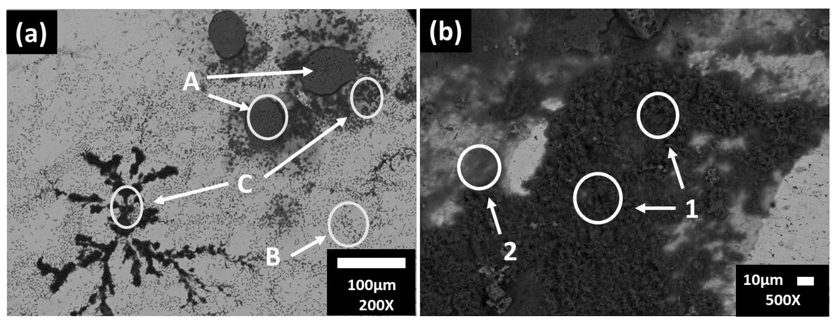 Materials 16 05066 g005