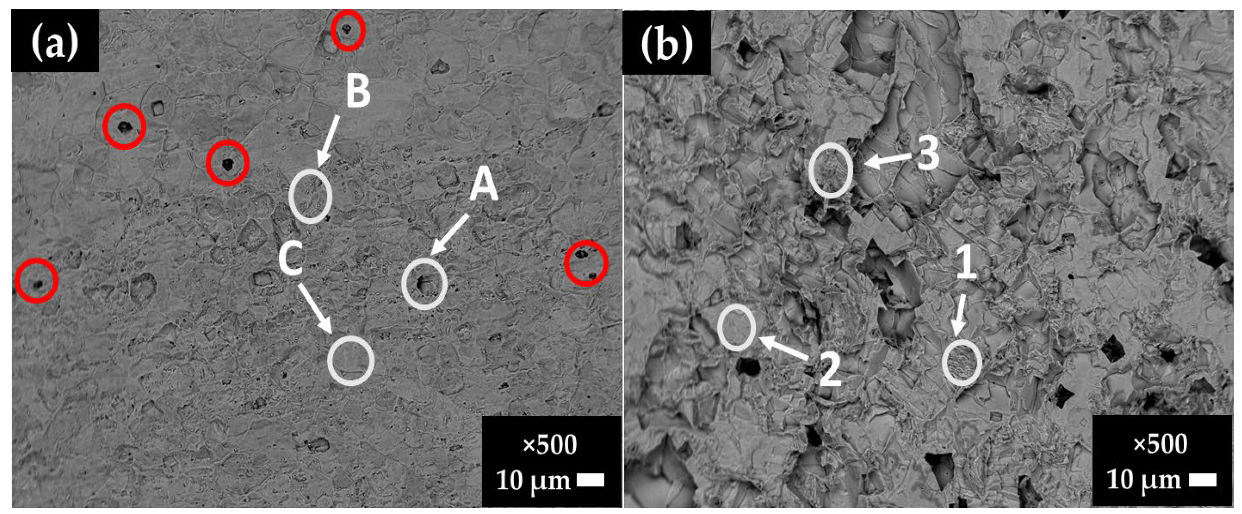 Materials 16 05066 g007