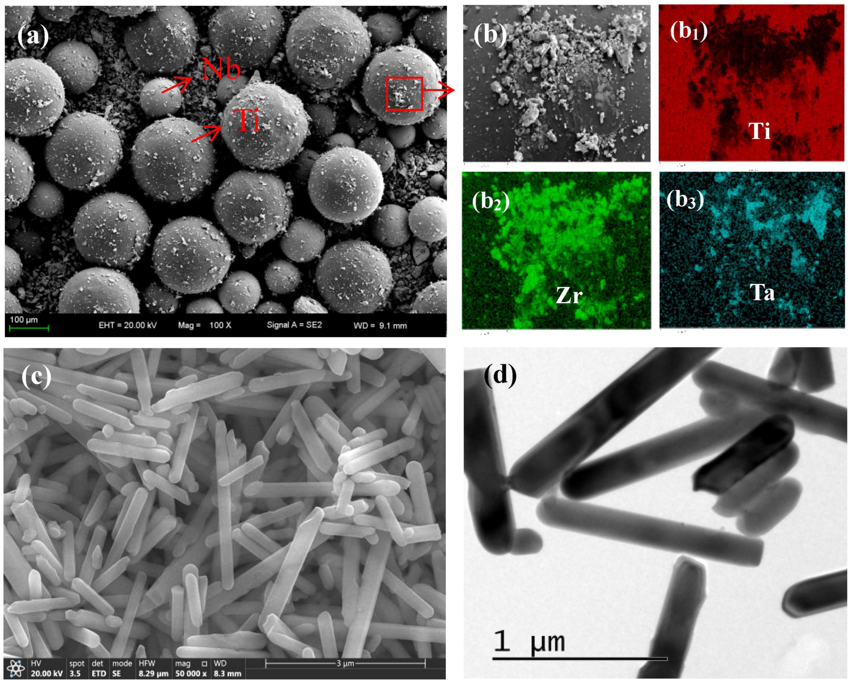 Materials 16 05095 g001 Materials 16 05095 g001