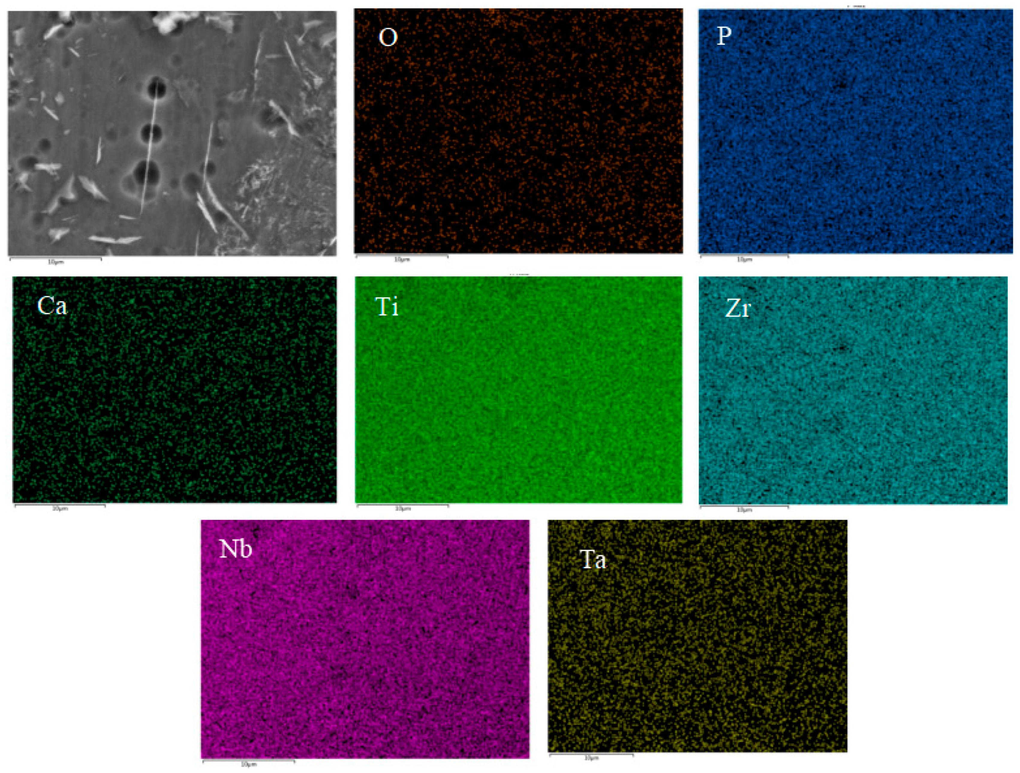 Materials 16 05095 g007 Materials 16 05095 g007