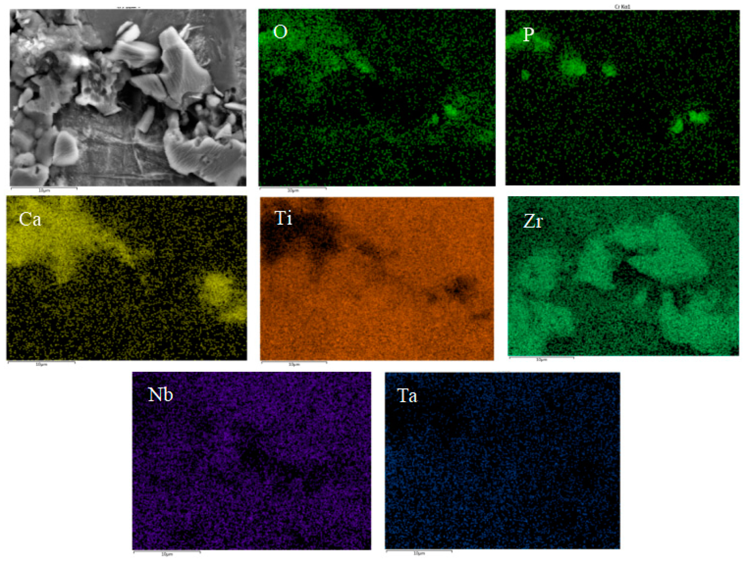 Materials 16 05095 g008 Materials 16 05095 g008