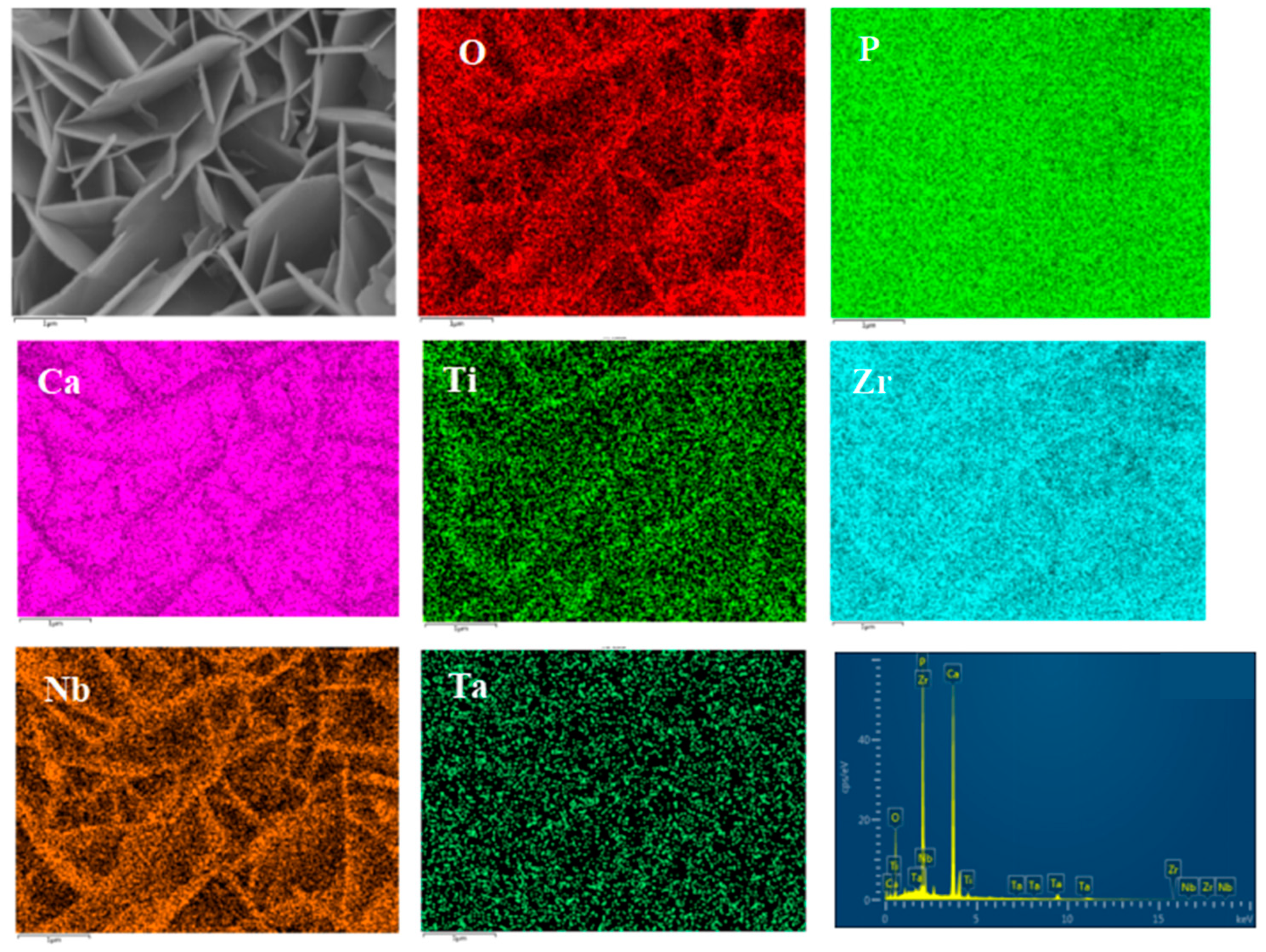 Materials 16 05095 g015 Materials 16 05095 g015
