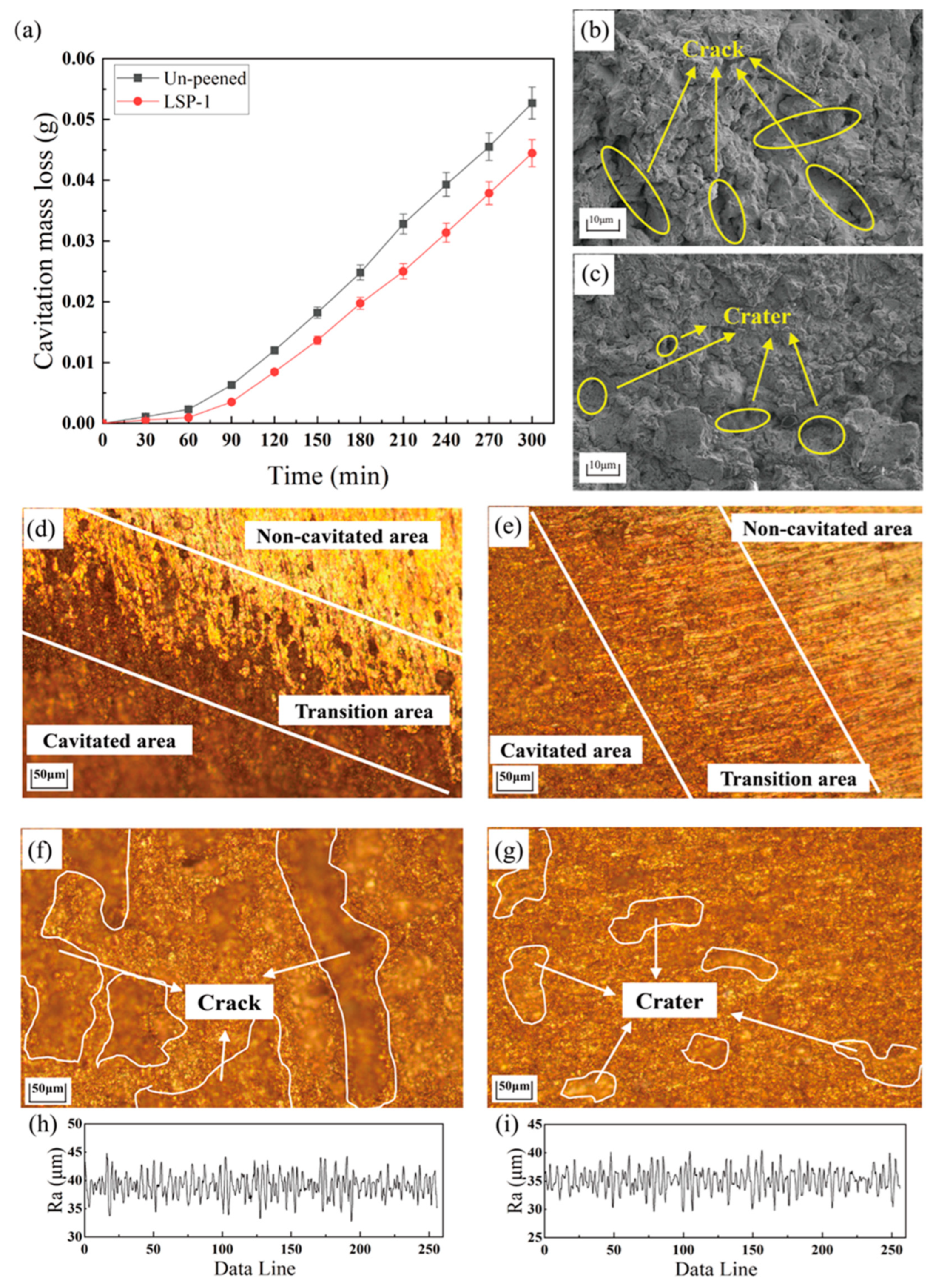 Materials 16 05096 g008
