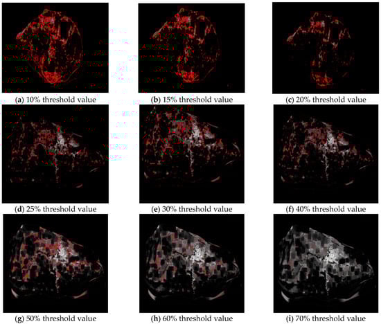 Materials 16 05097 g006