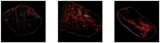 Materials 16 05097 g007