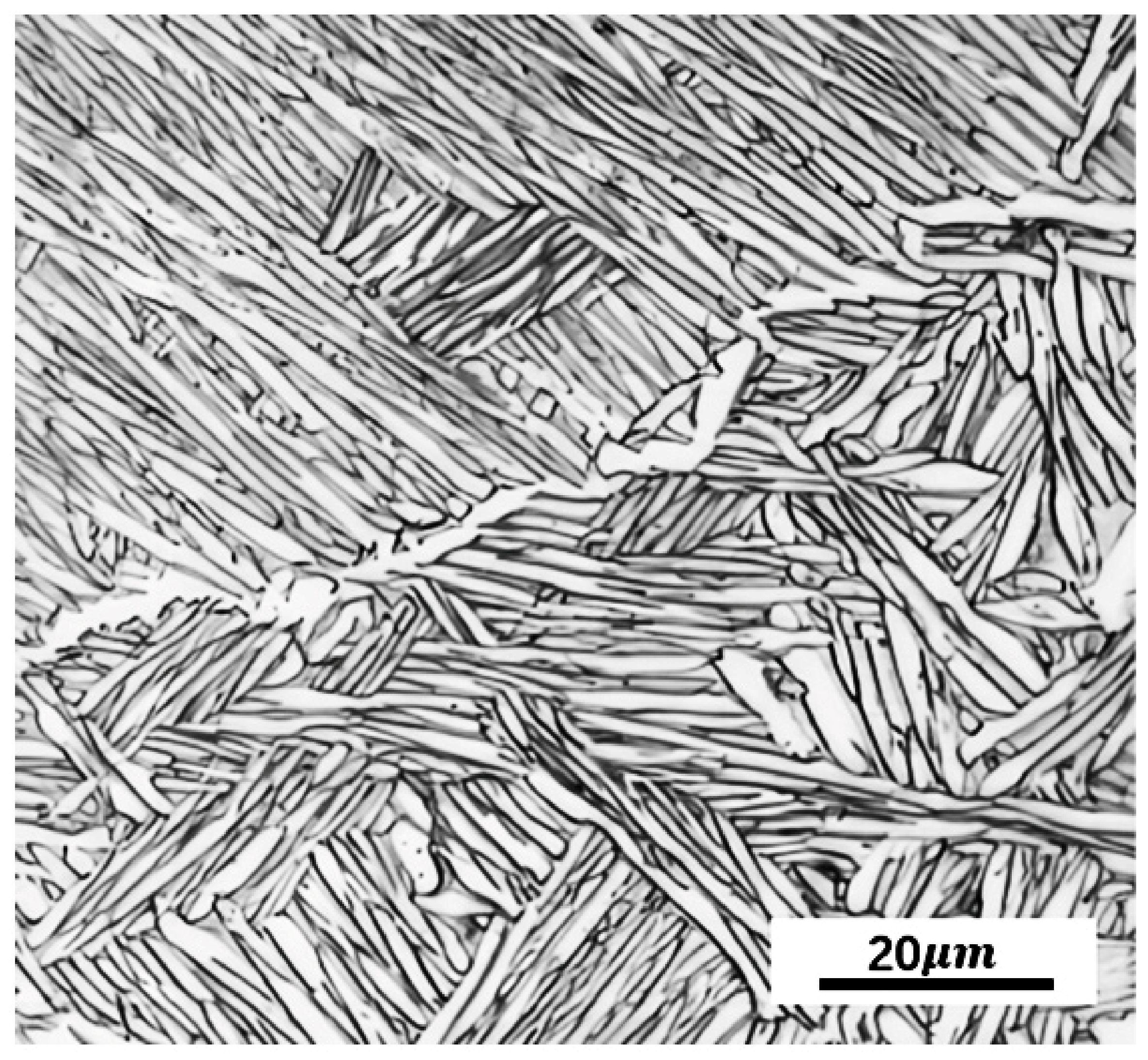 Materials 16 05109 g001 Materials 16 05109 g001