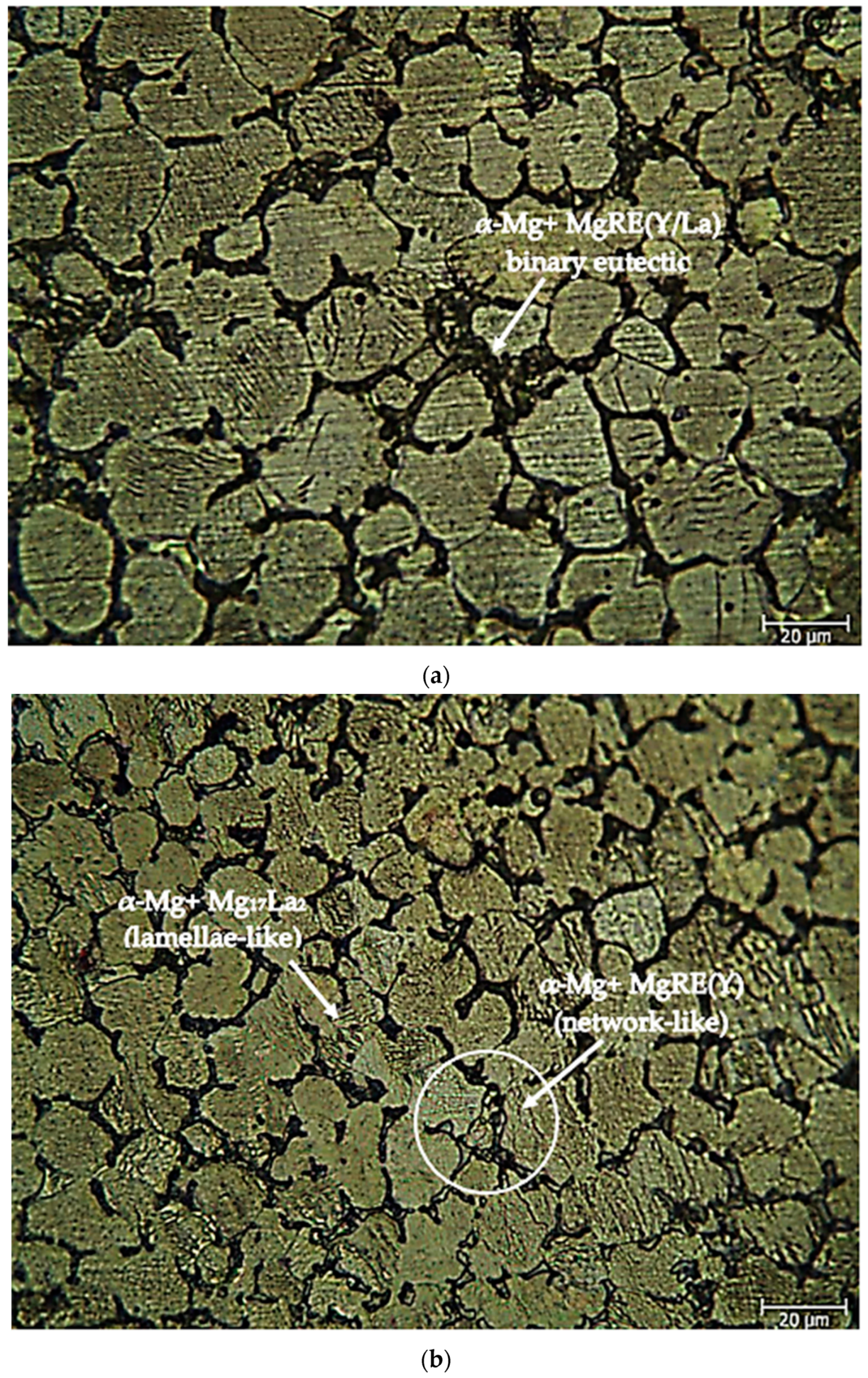 Materials 16 05141 g002