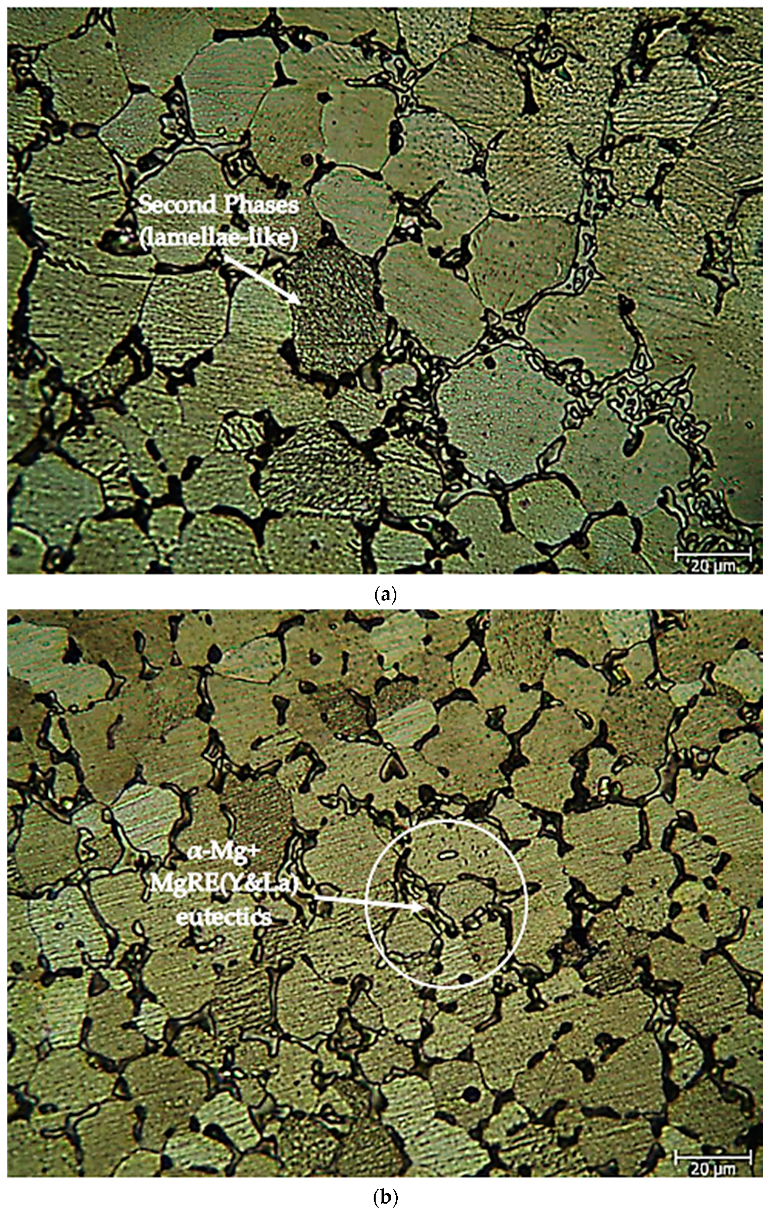 Materials 16 05141 g003