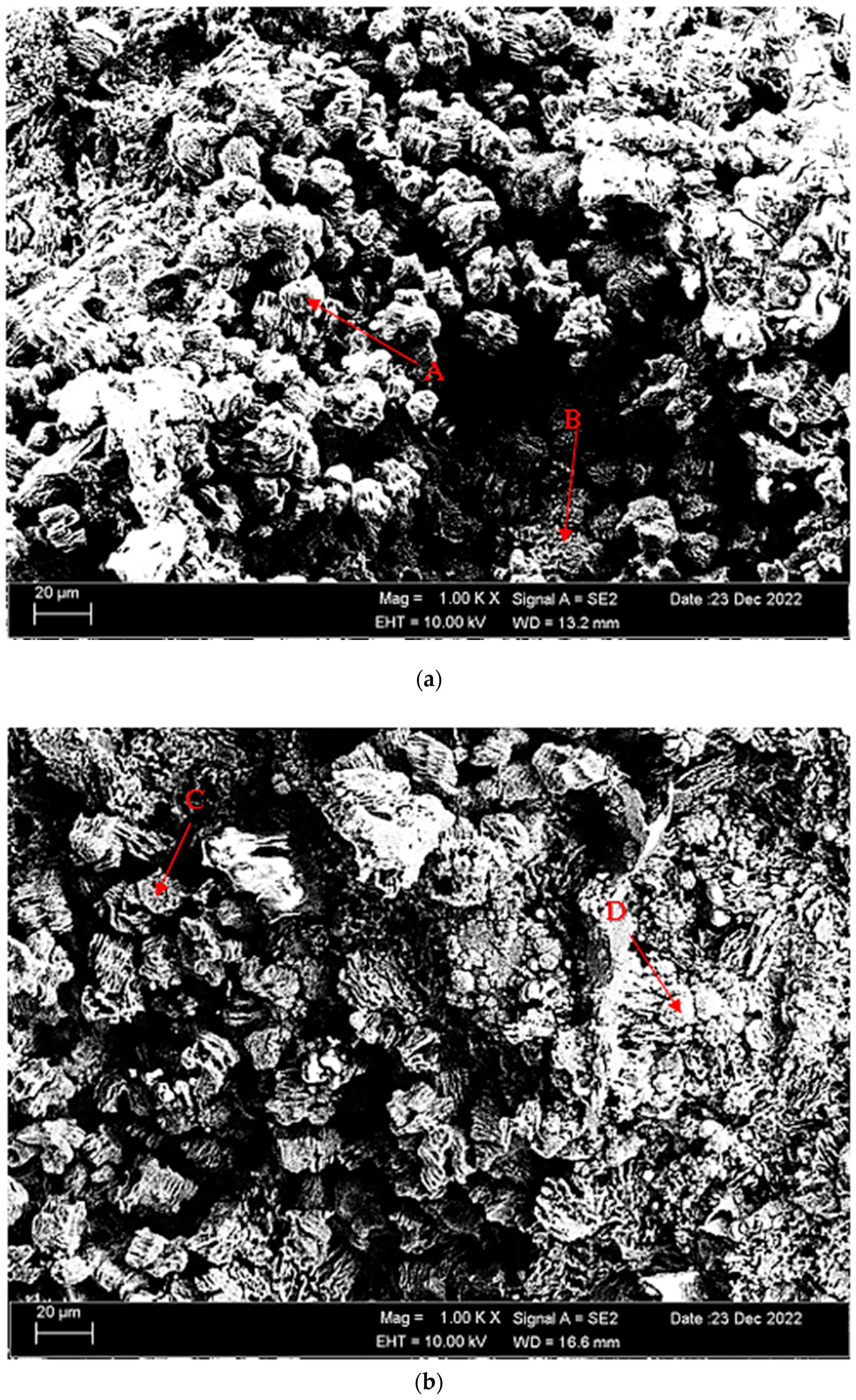 Materials 16 05141 g011