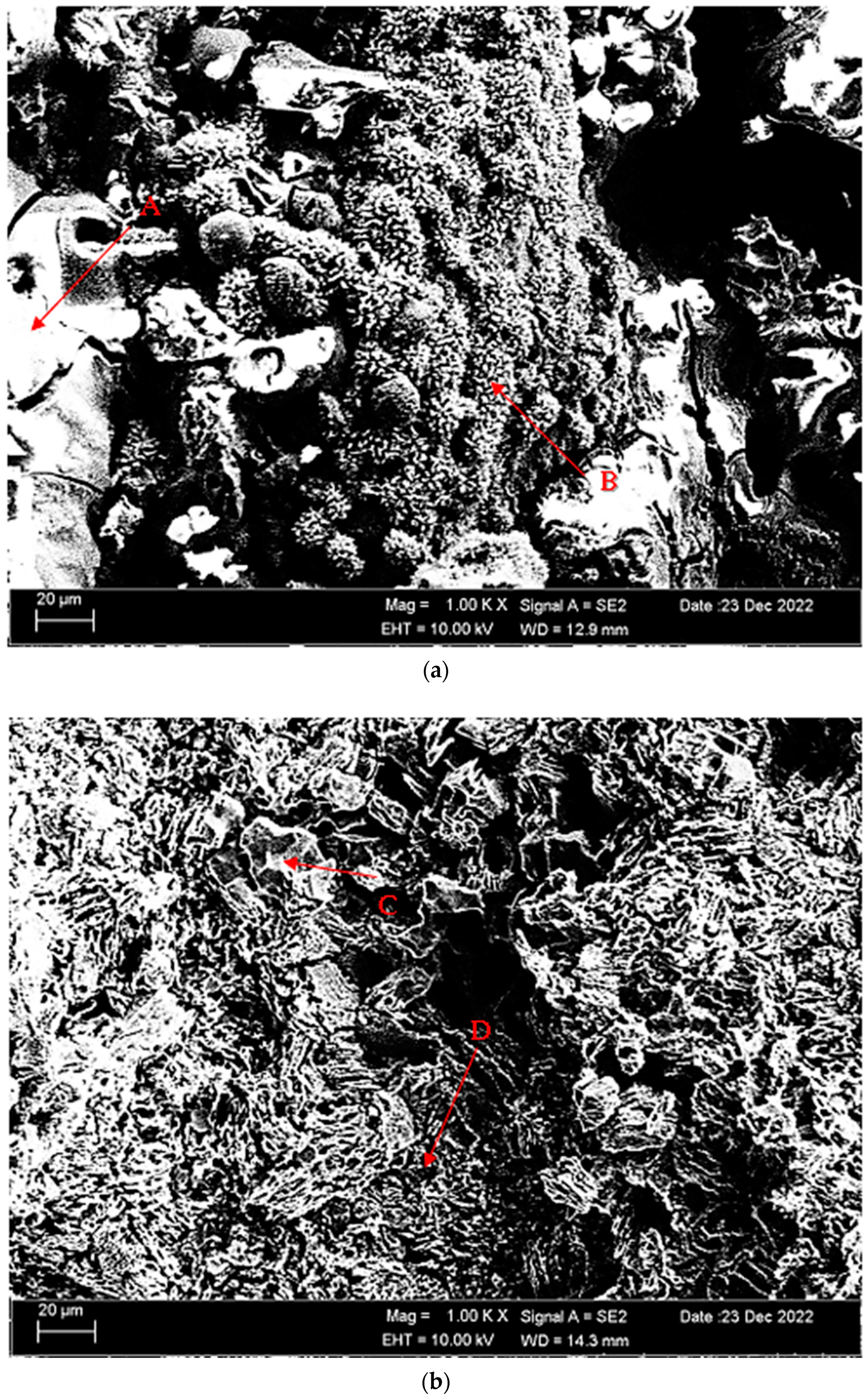 Materials 16 05141 g012