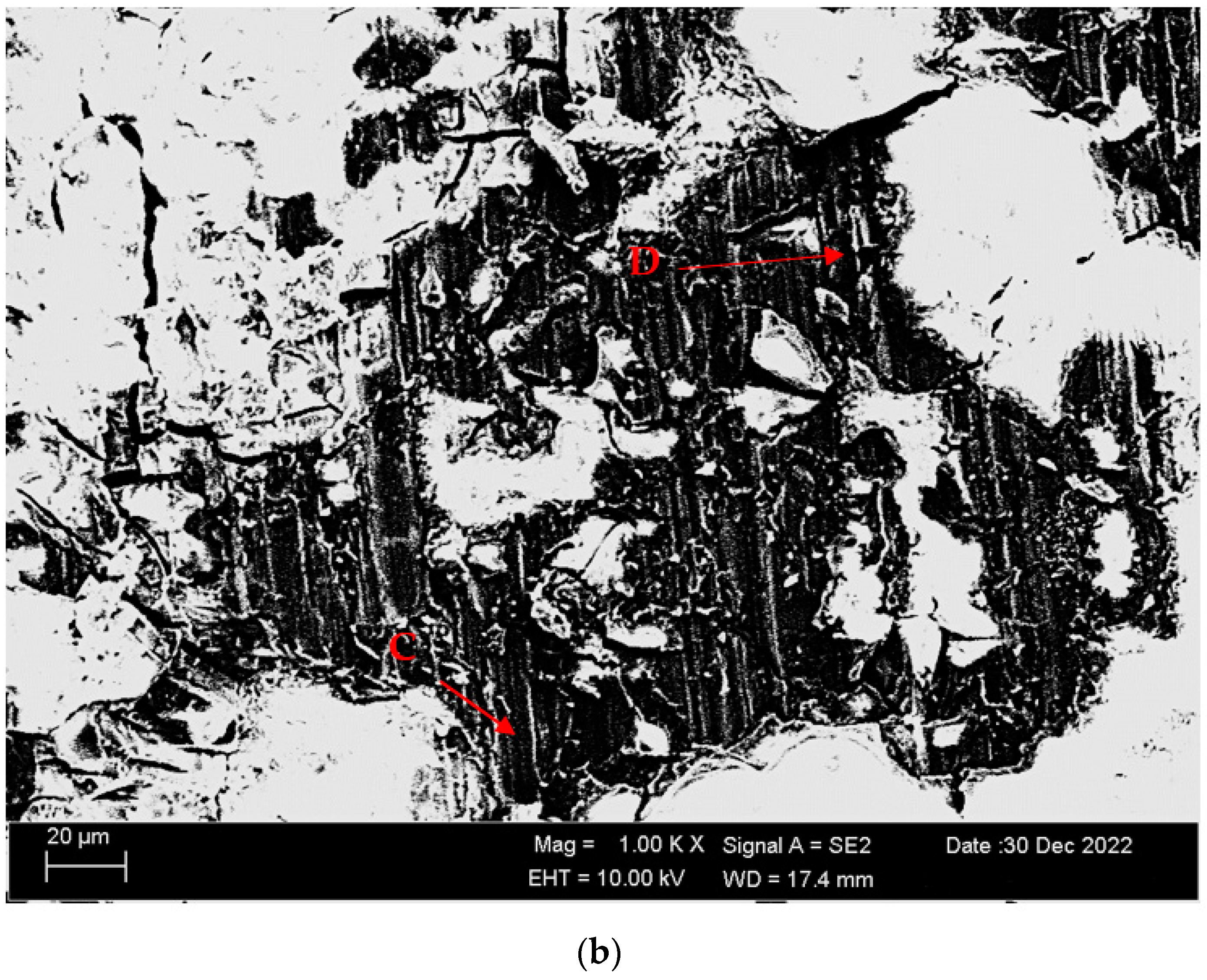 Materials 16 05141 g014b