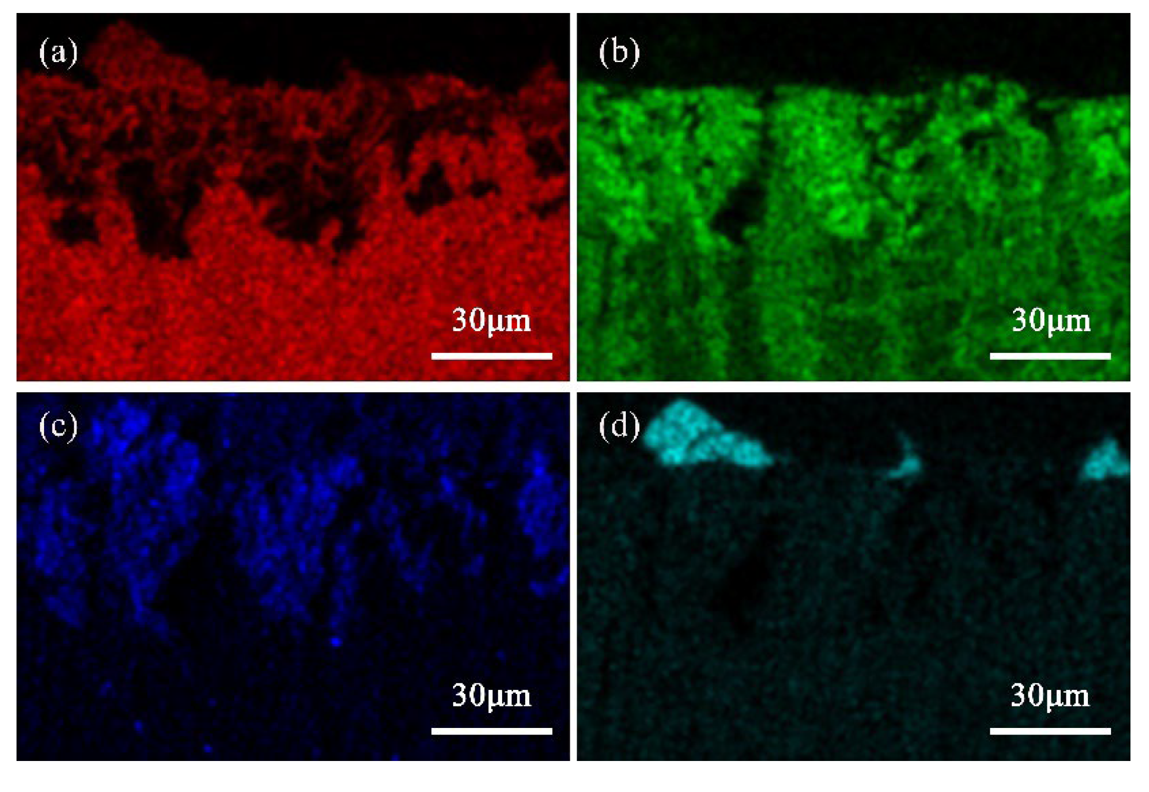 Materials 16 05144 g005 Materials 16 05144 g005