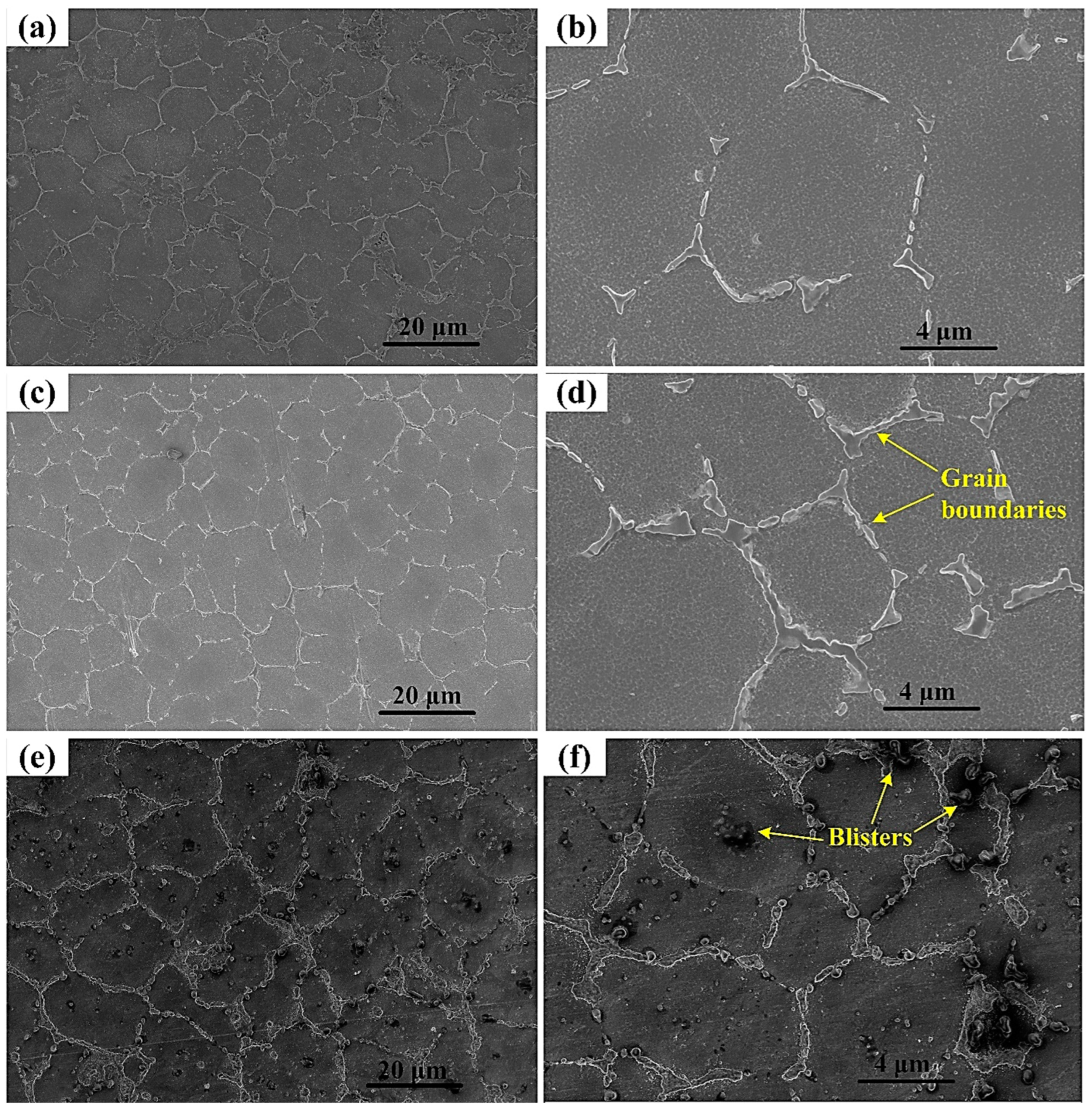 Materials 16 05158 g010 Materials 16 05158 g010