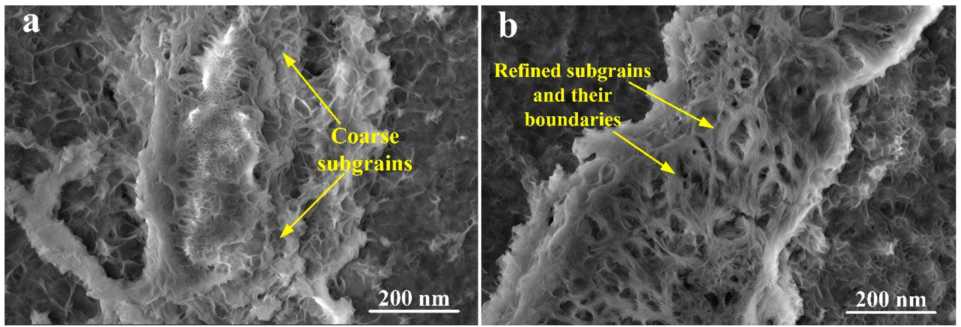 Materials 16 05158 g011 Materials 16 05158 g011