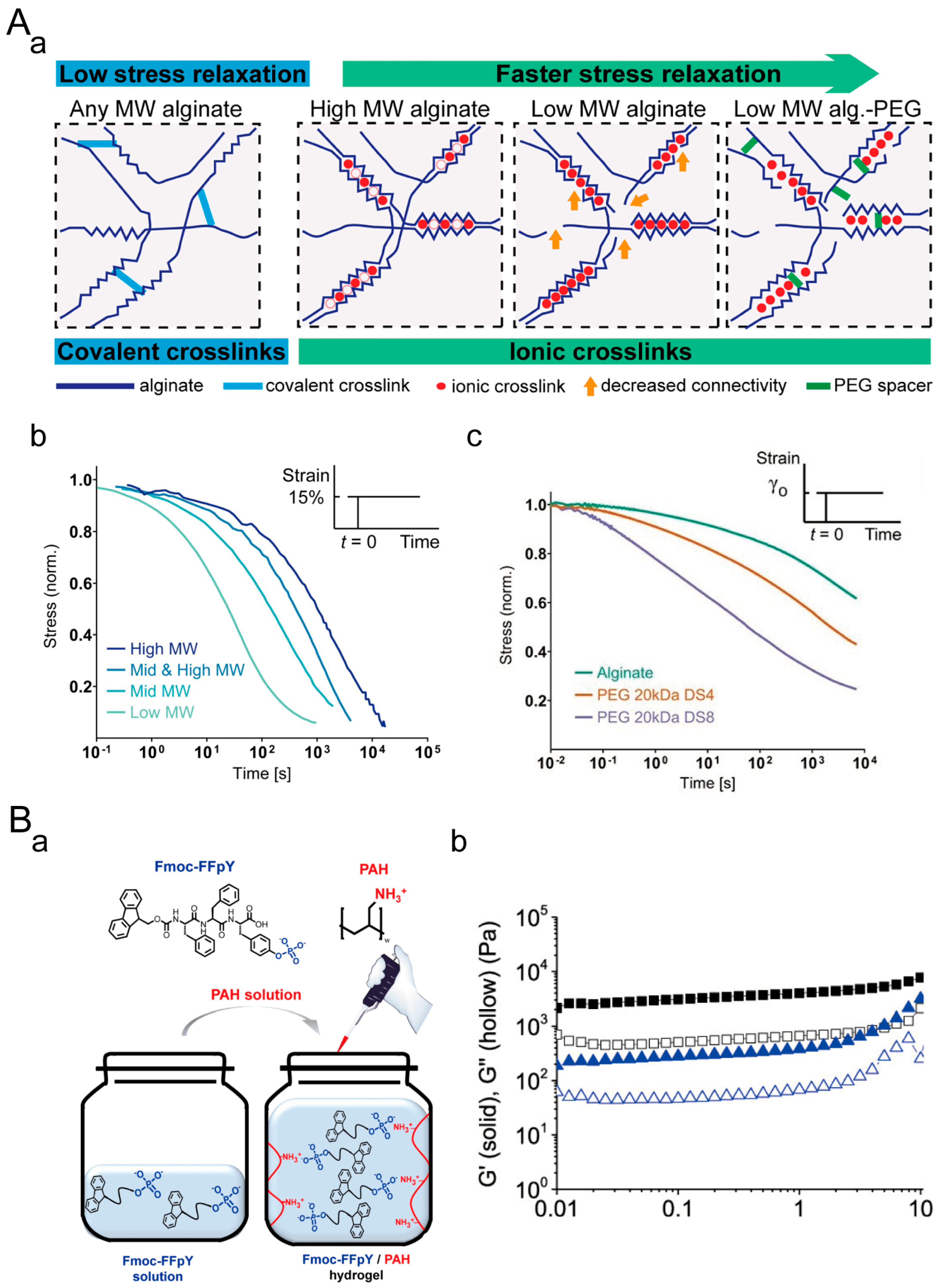 Materials 16 05161 g004 Materials 16 05161 g004