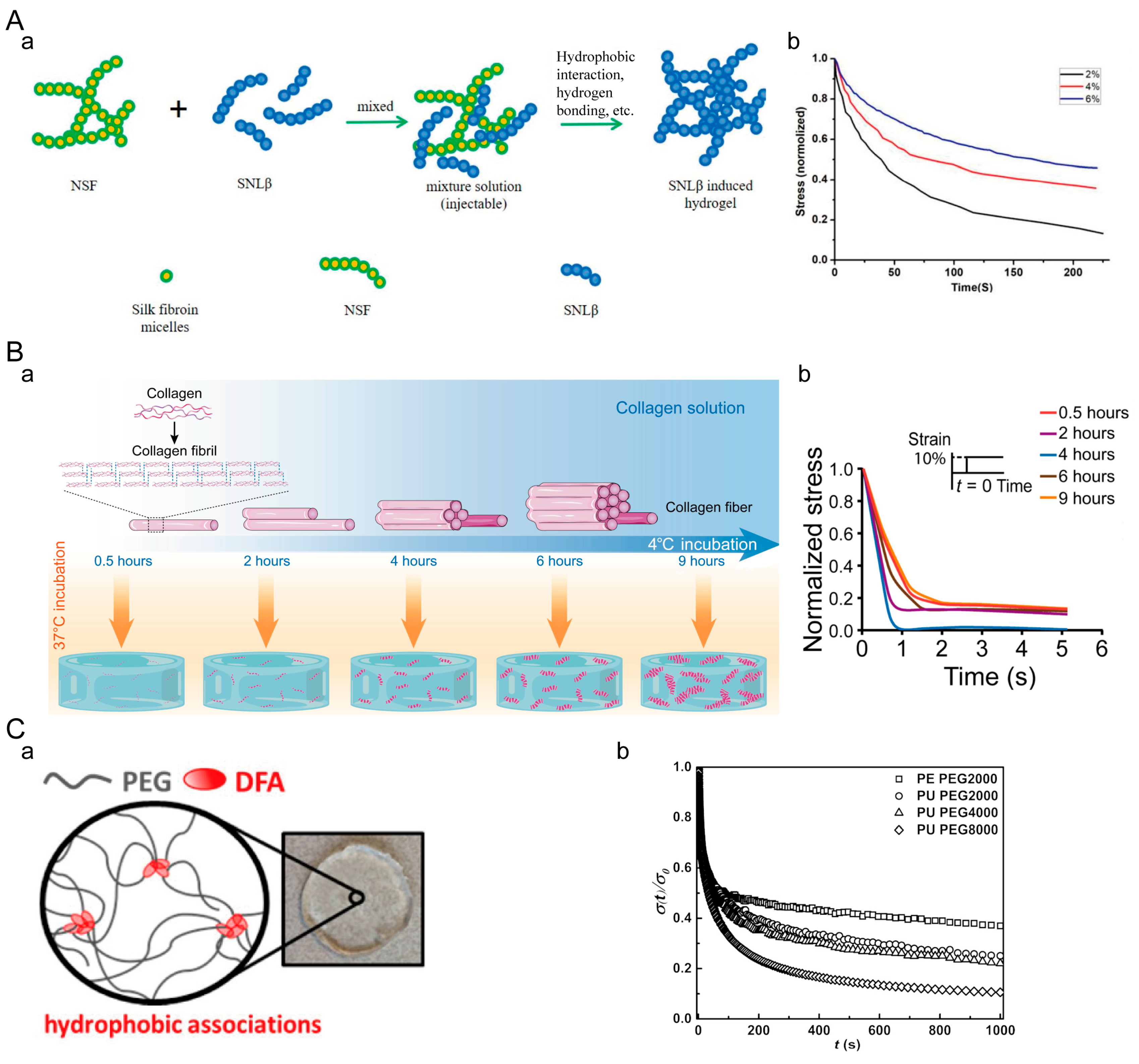 Materials 16 05161 g006 Materials 16 05161 g006