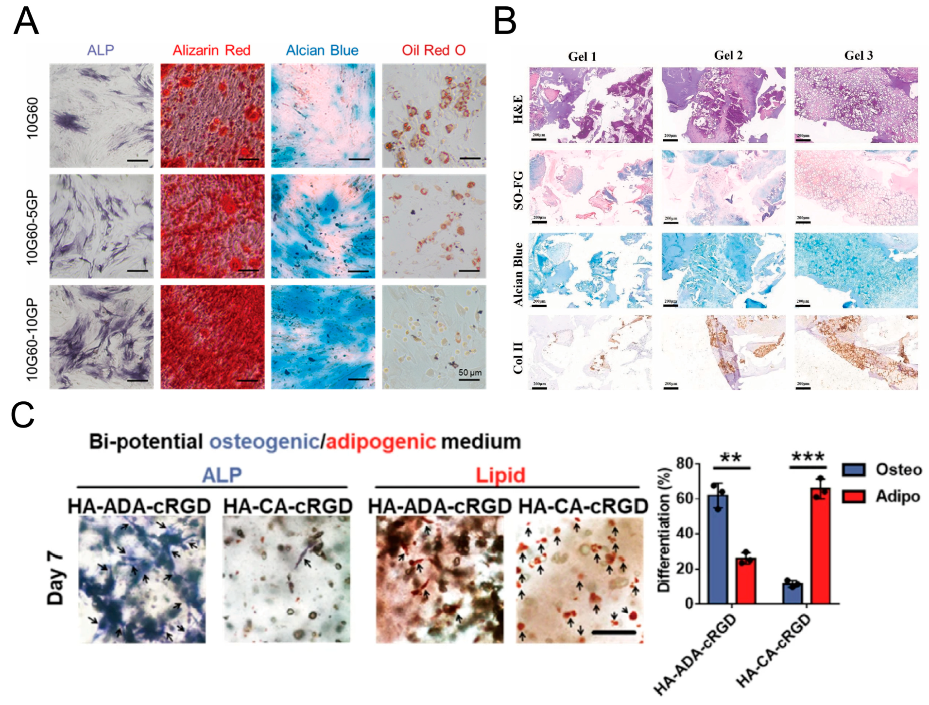 Materials 16 05161 g015 Materials 16 05161 g015