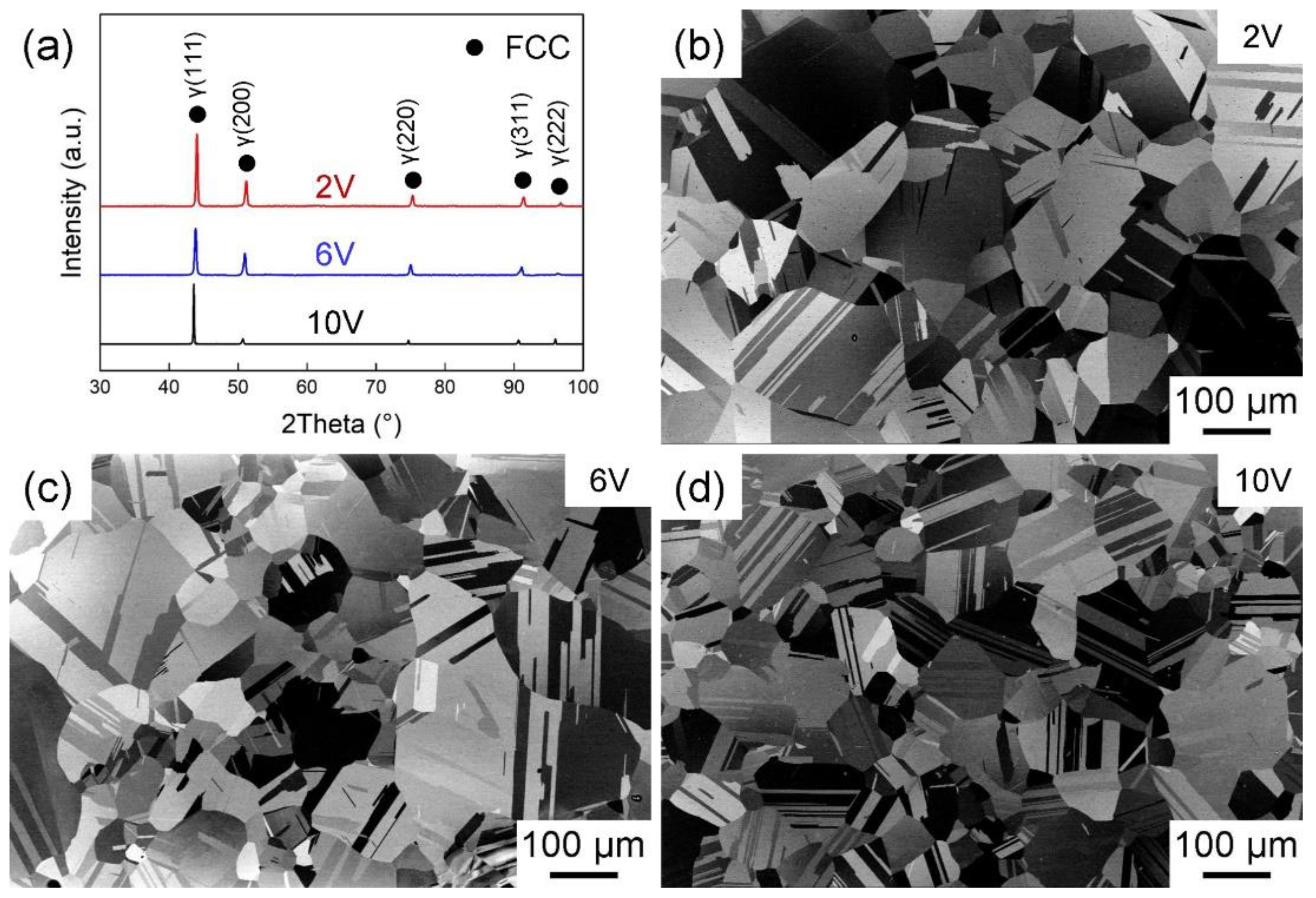 Materials 16 05167 g001 Materials 16 05167 g001