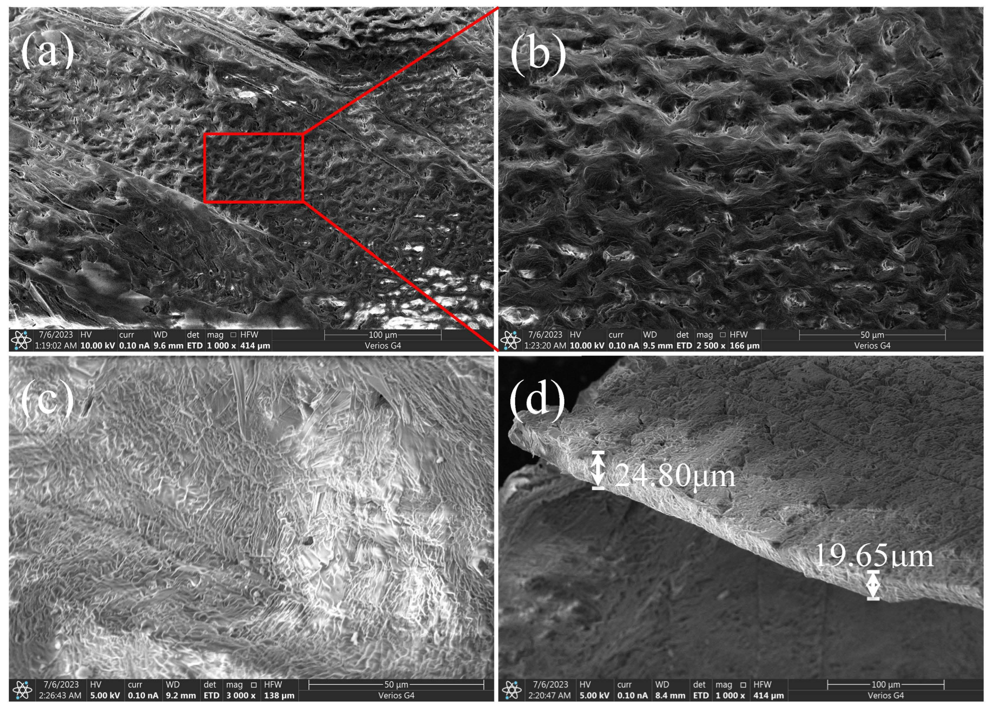 Materials 16 05168 g005 Materials 16 05168 g005