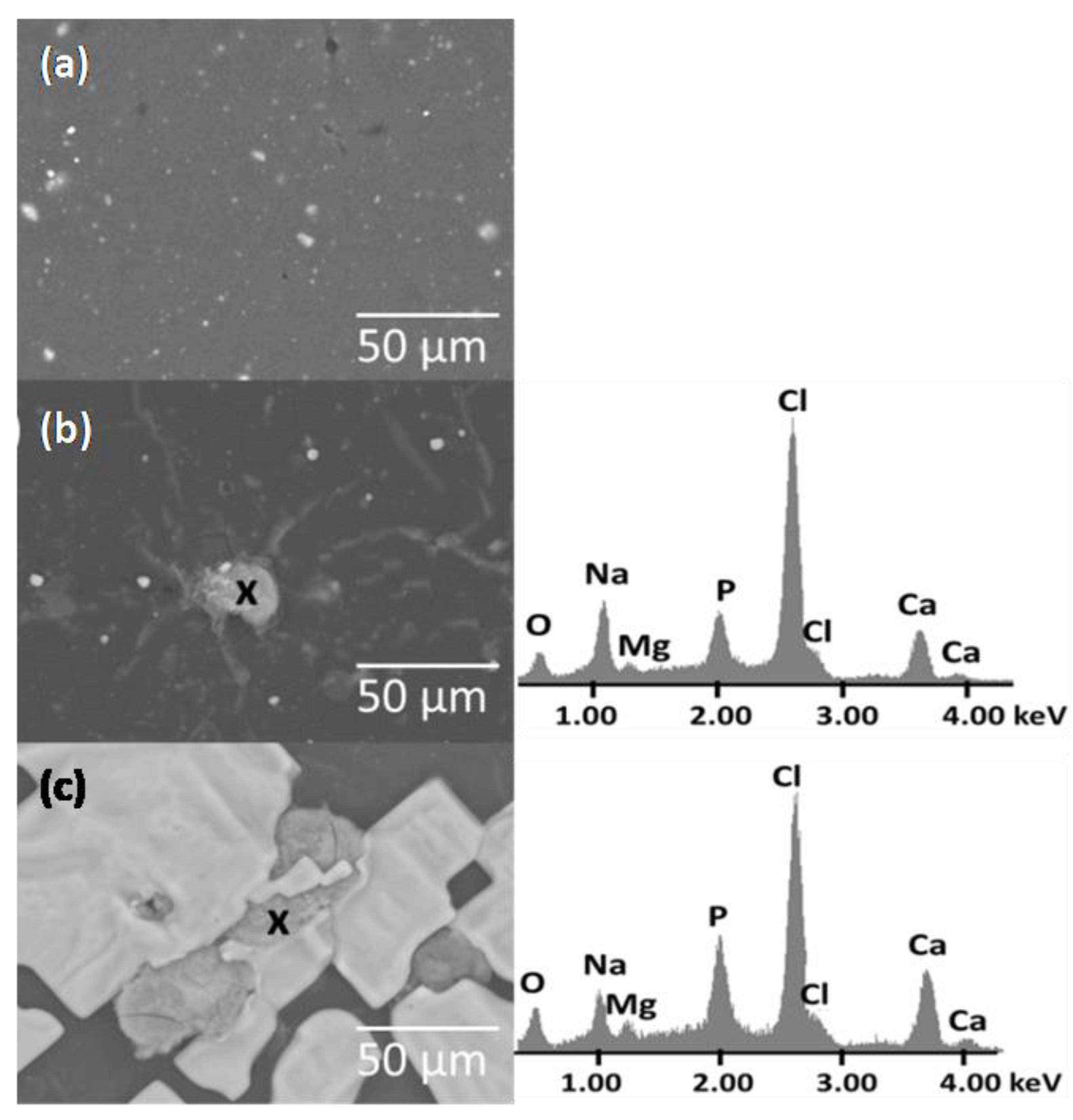 Materials 16 05179 g008 Materials 16 05179 g008