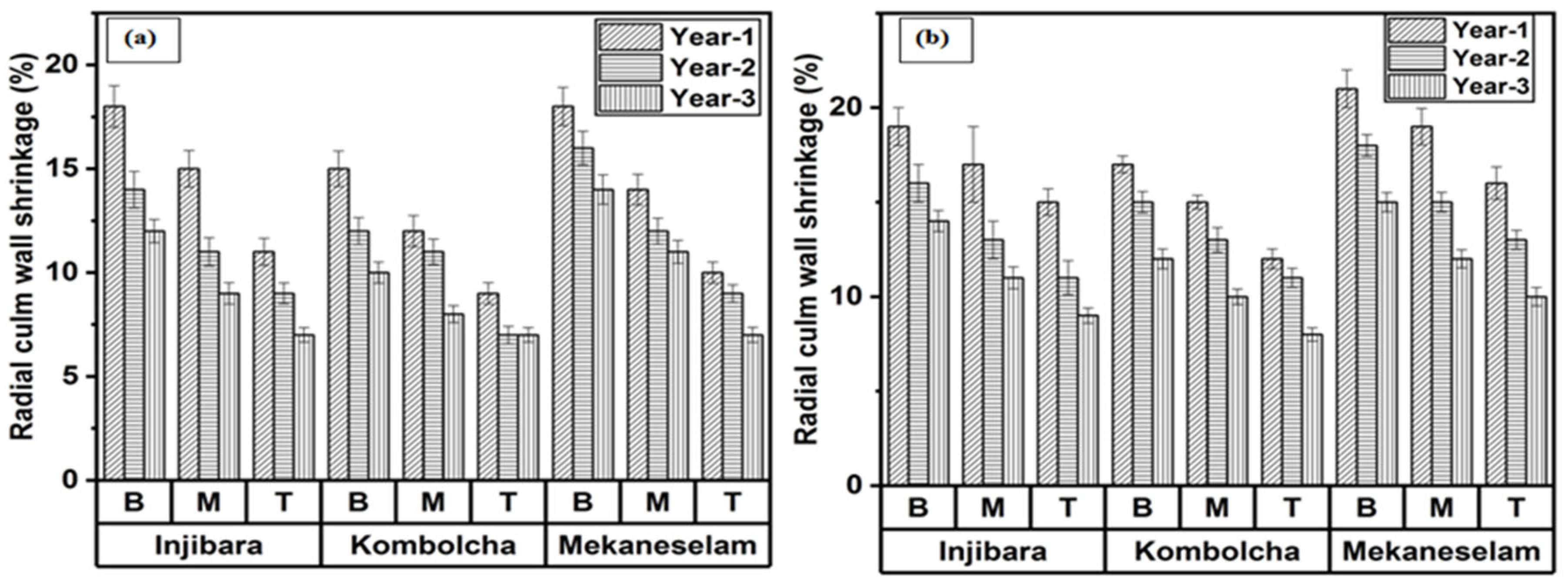 Materials 16 05196 g004