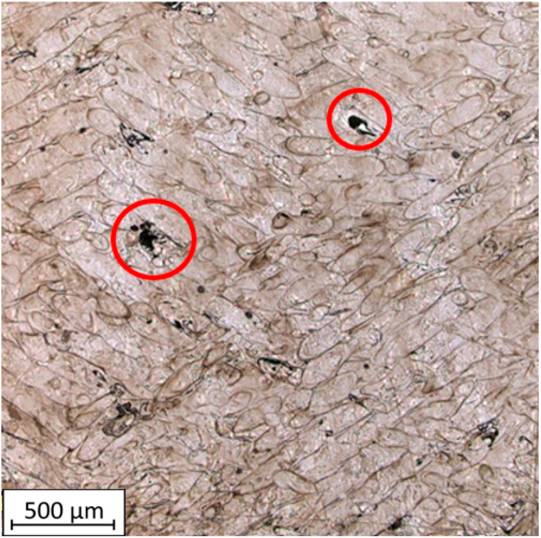 Materials 16 05200 g011