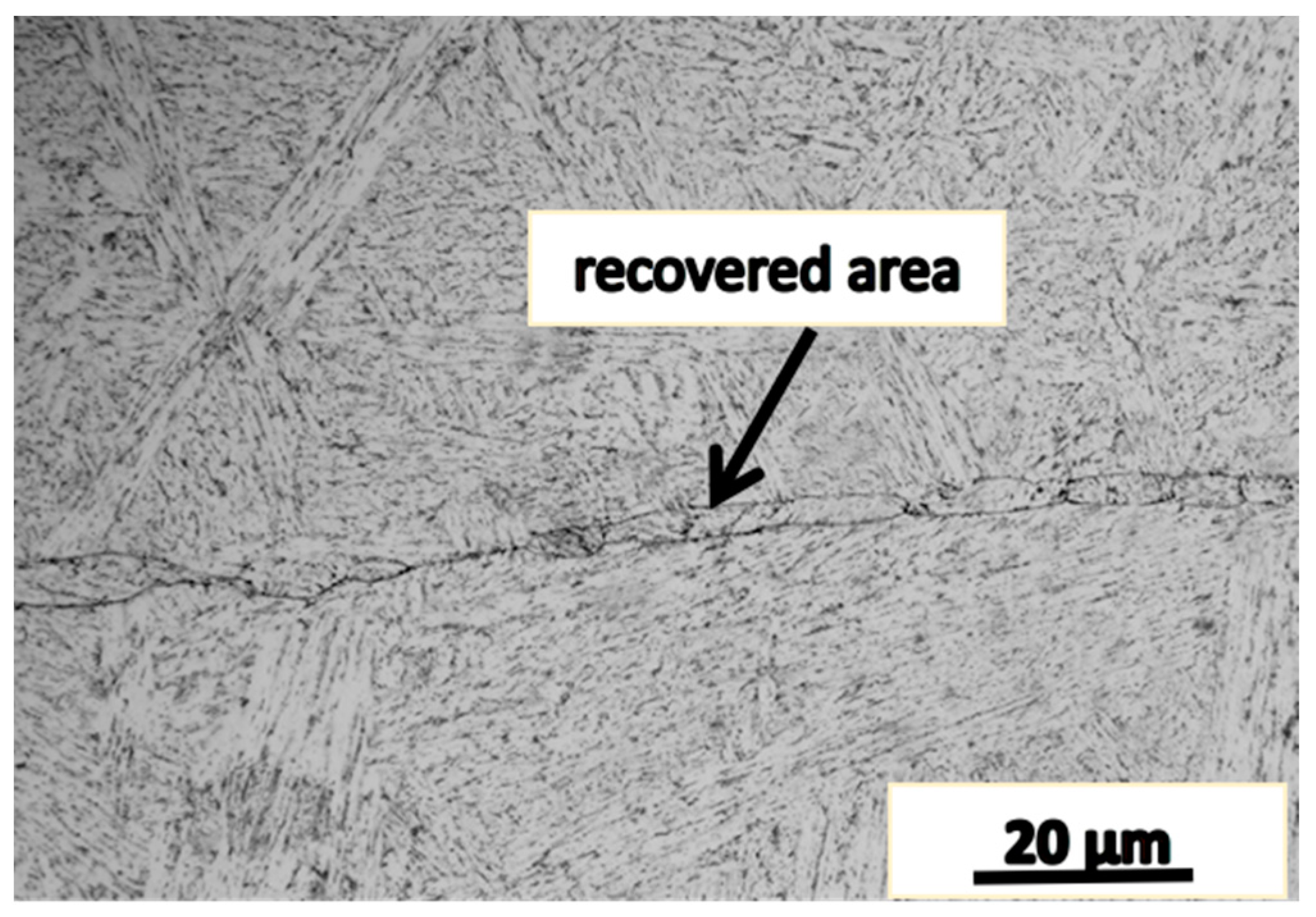 Materials 16 05205 g009