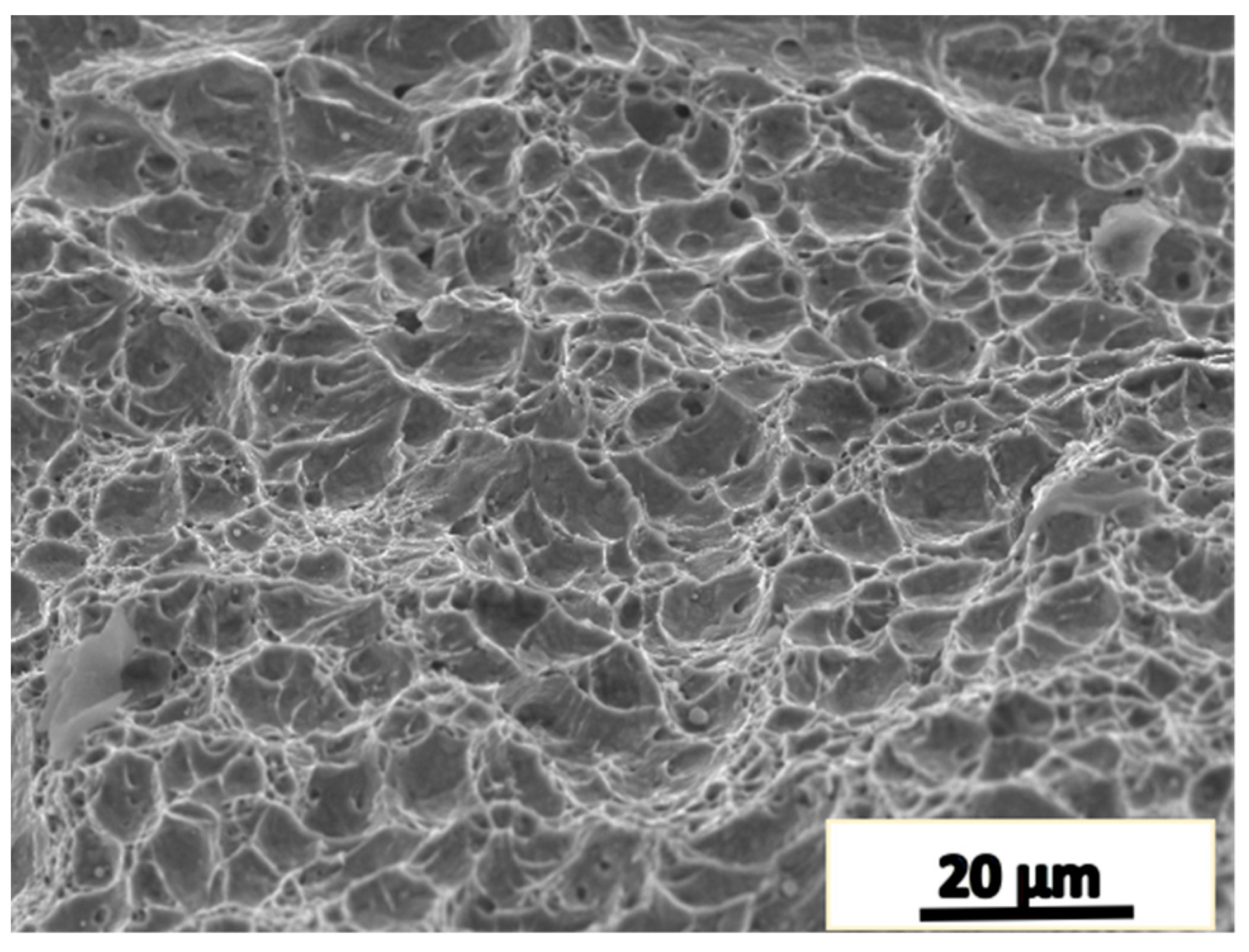 Materials 16 05205 g011