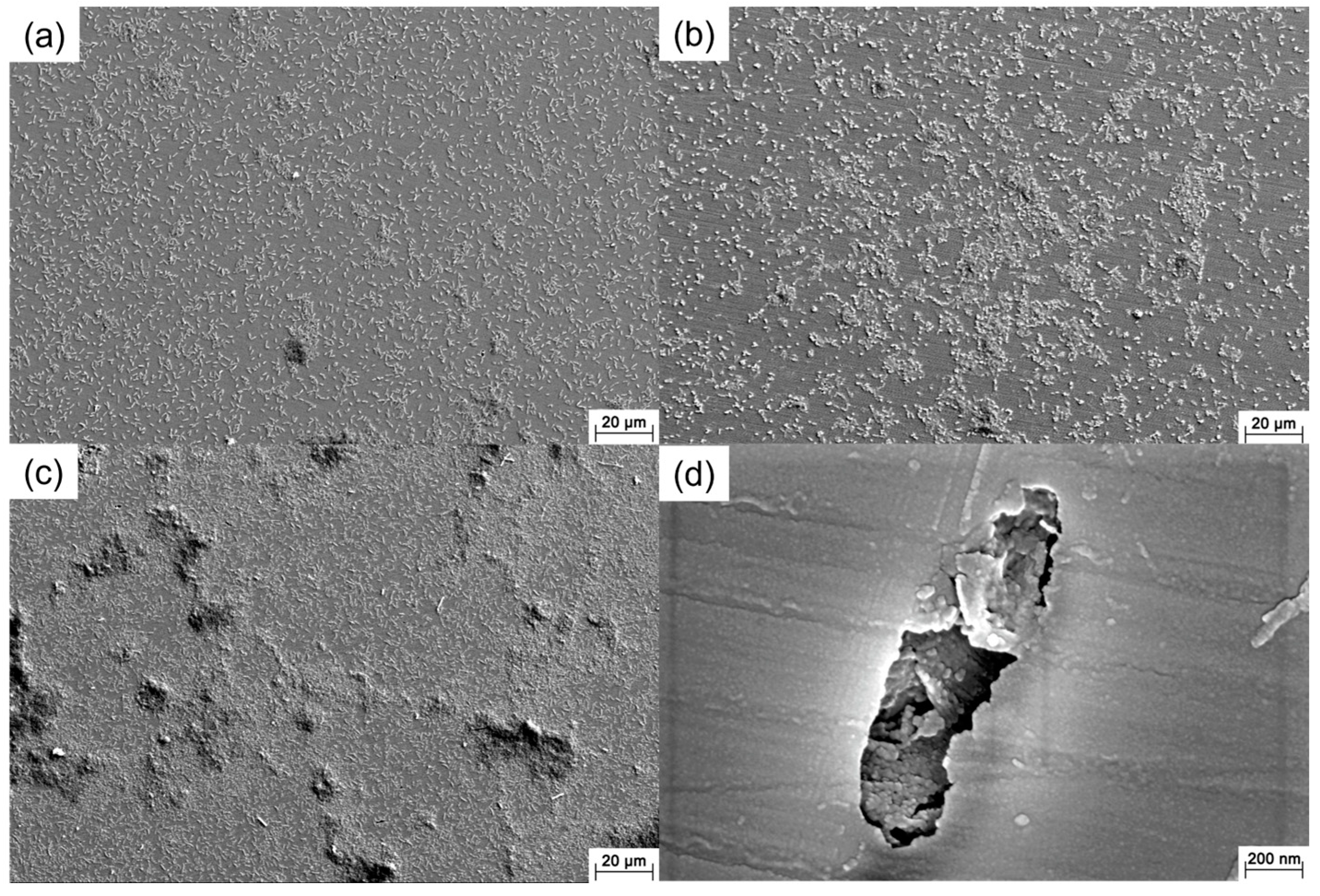 Materials 16 05209 g002