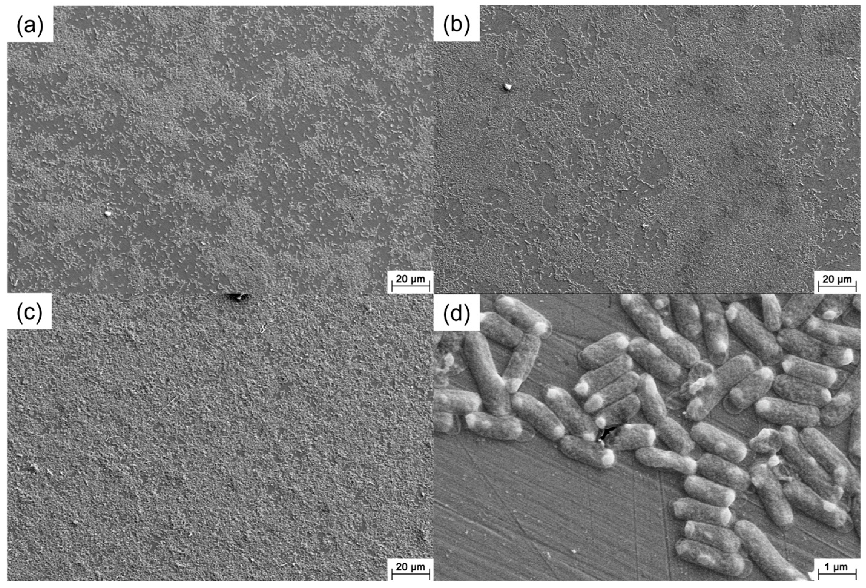 Materials 16 05209 g009