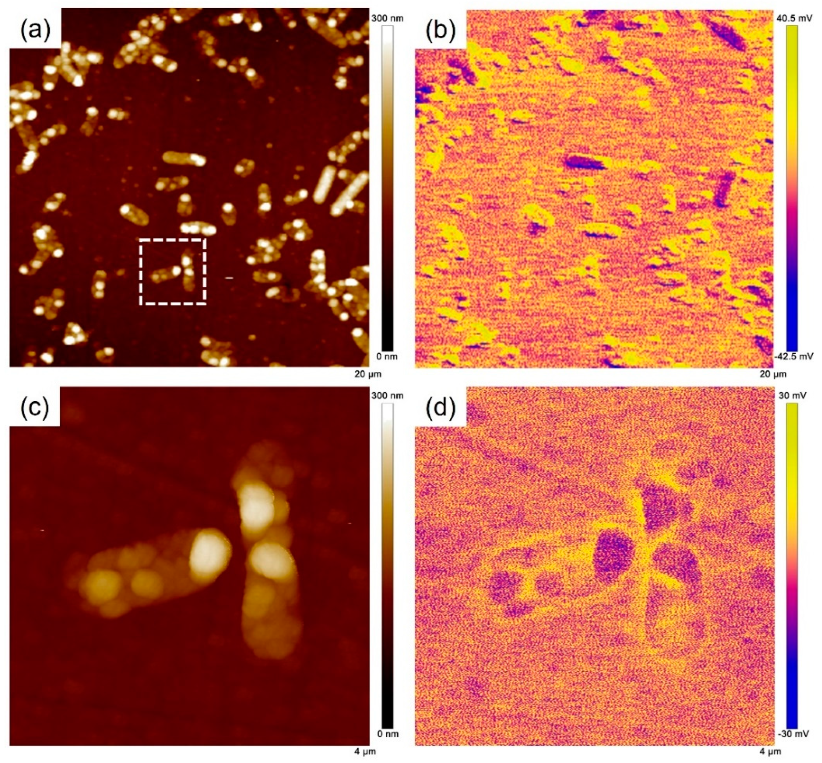 Materials 16 05209 g012