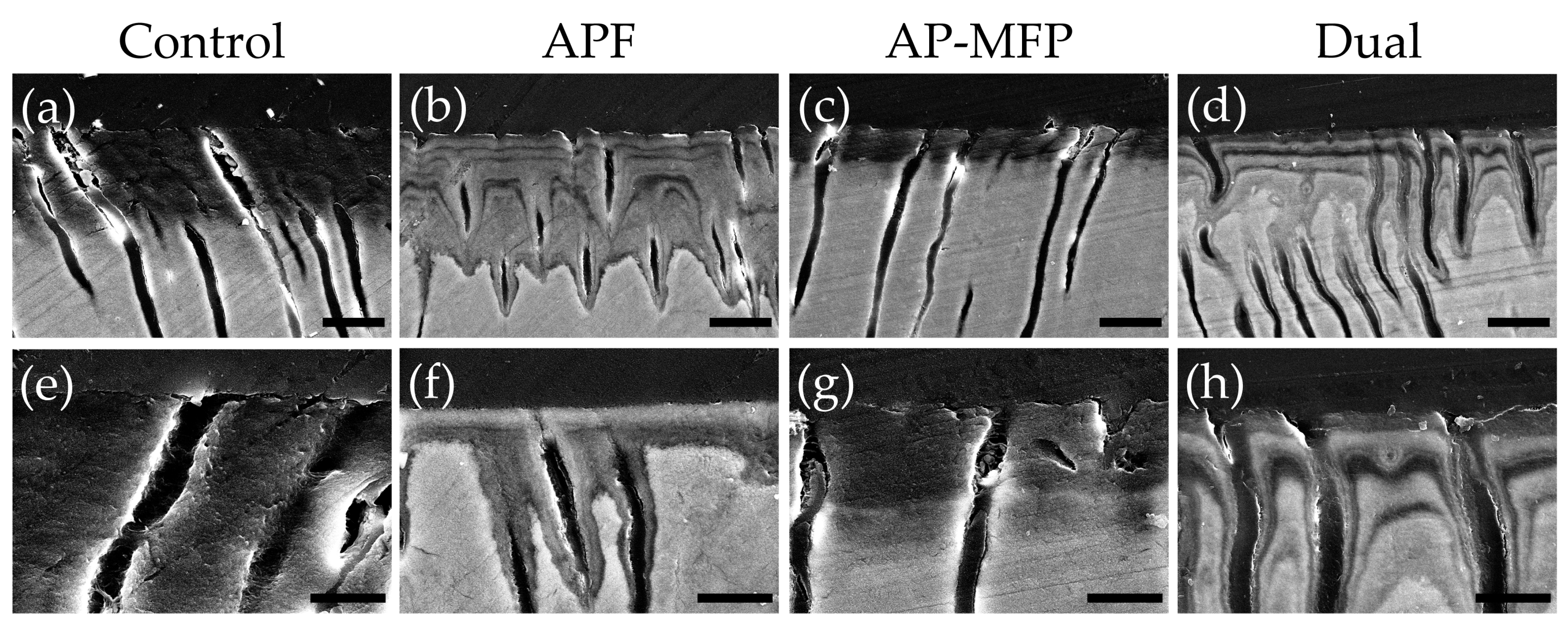 Materials 16 05230 g005