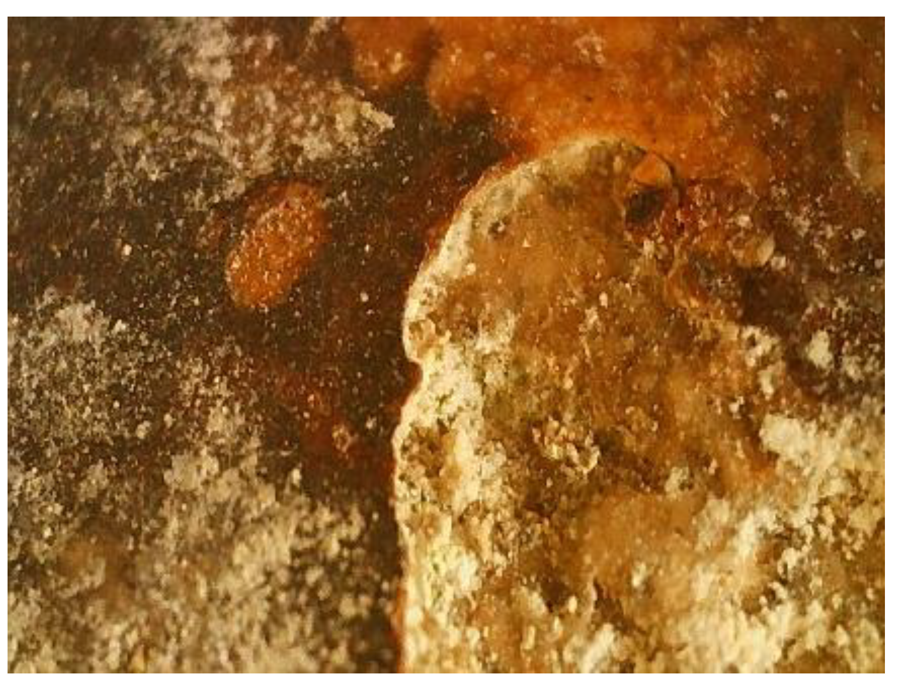 Materials 16 05257 g005