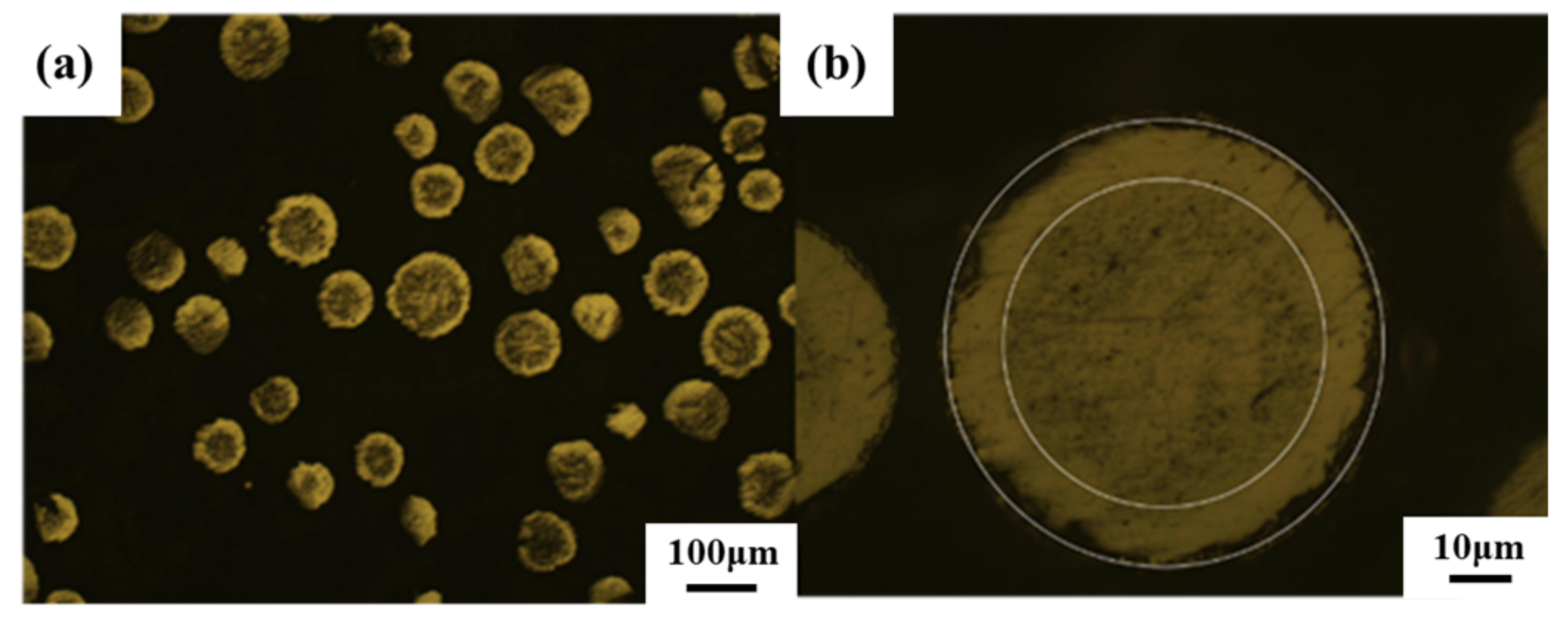 Materials 16 05259 g005