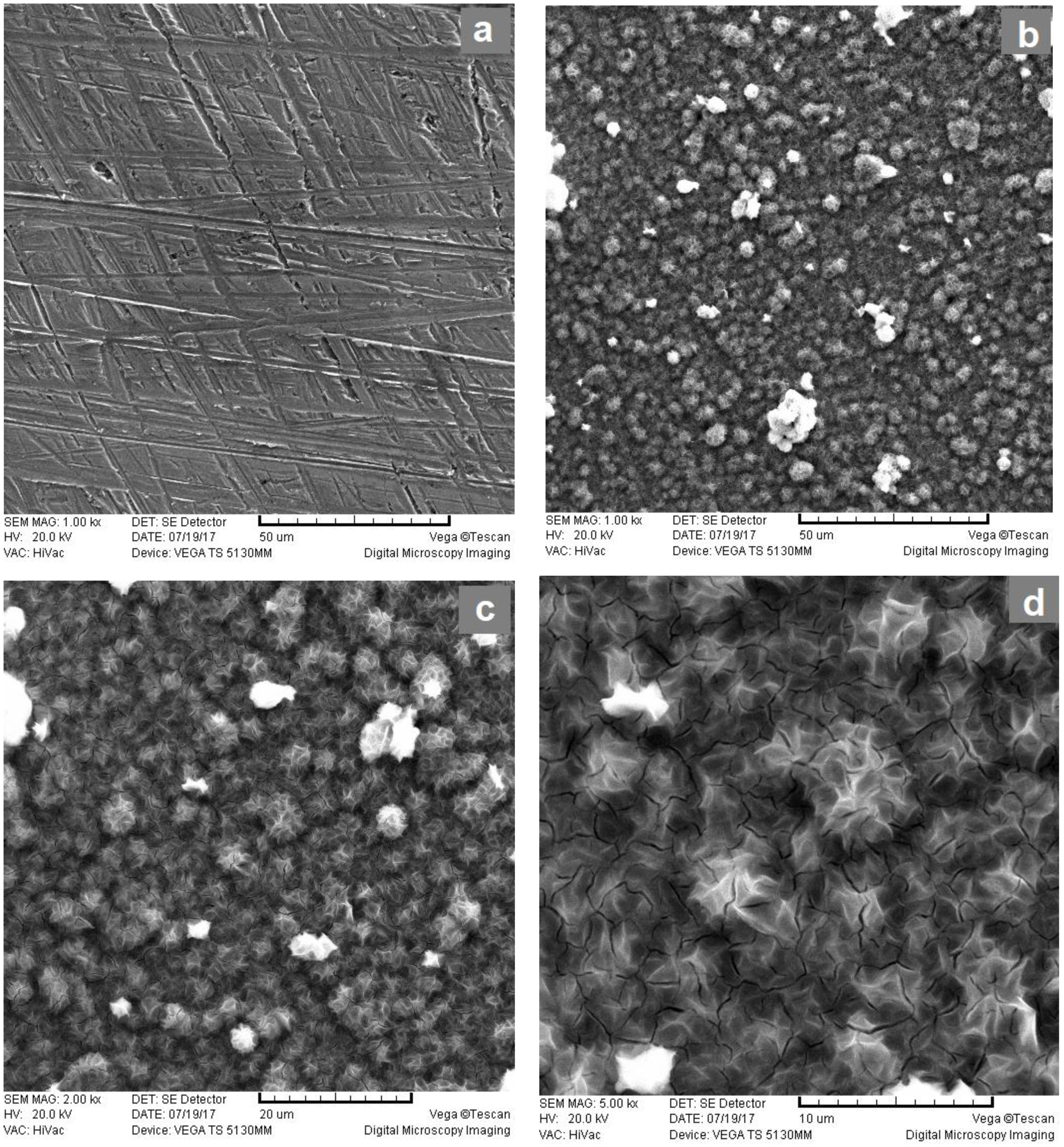 Materials 16 05268 g005 Materials 16 05268 g005