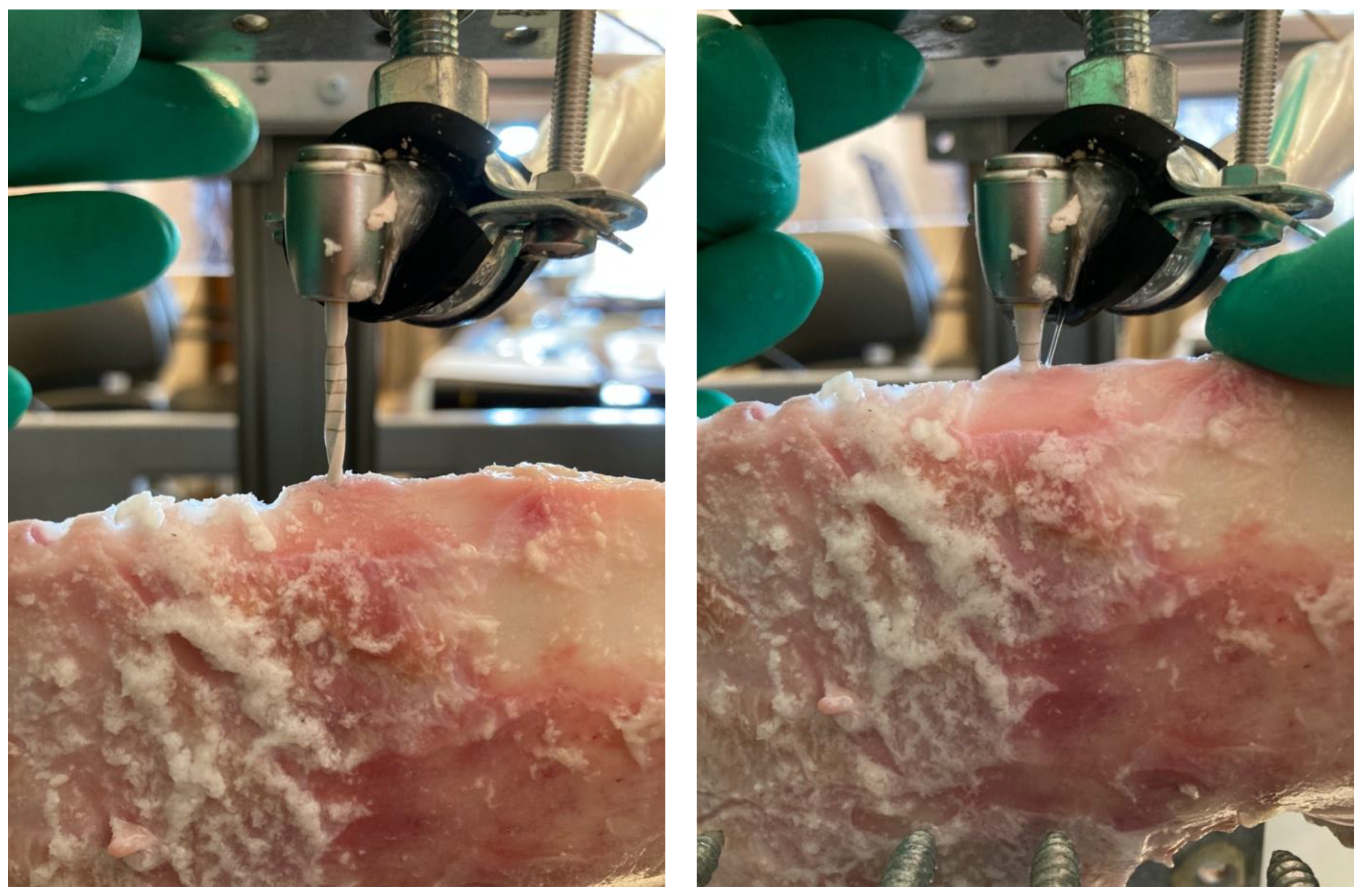 Materials 16 05271 g002