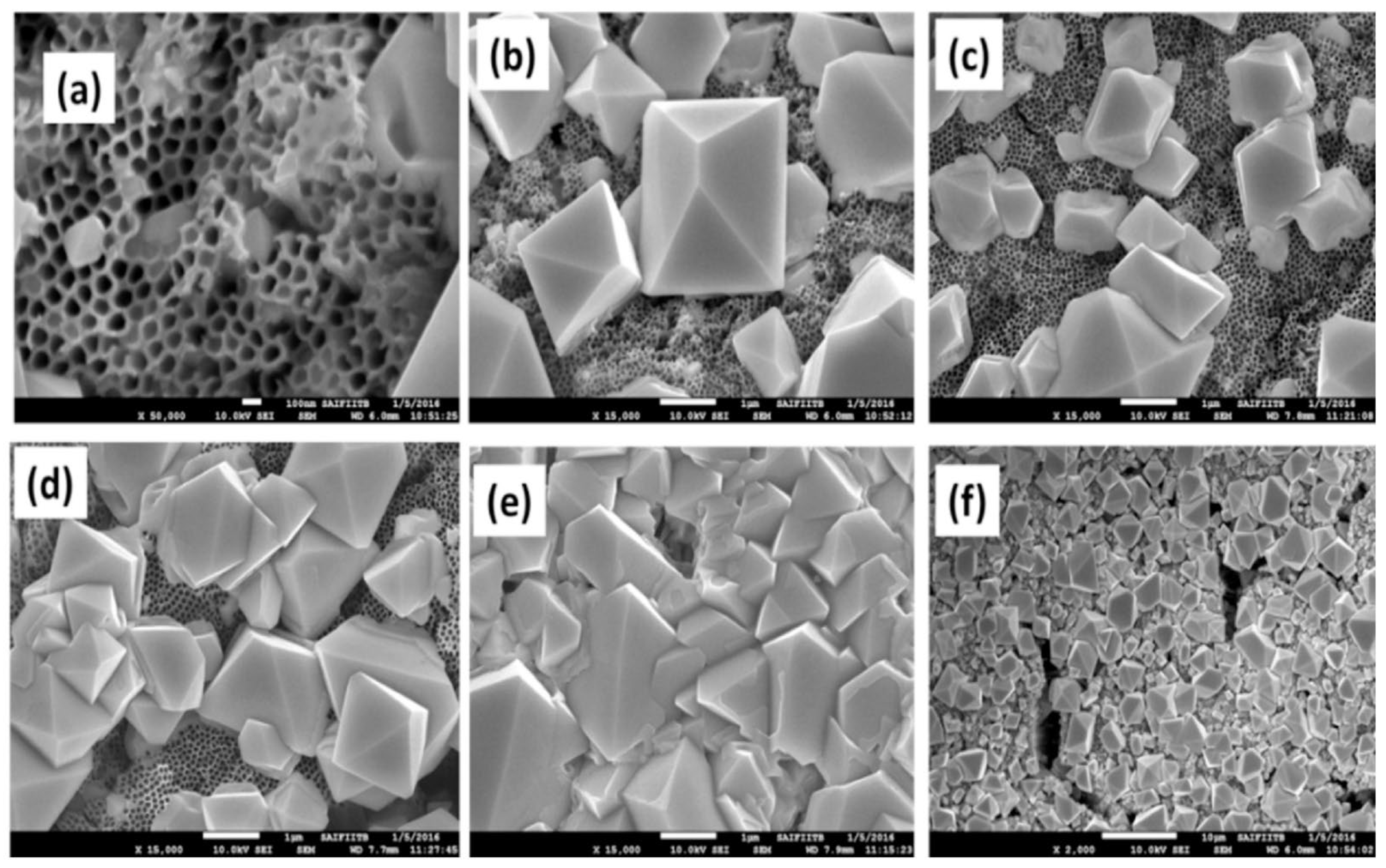 Materials 16 05275 g005