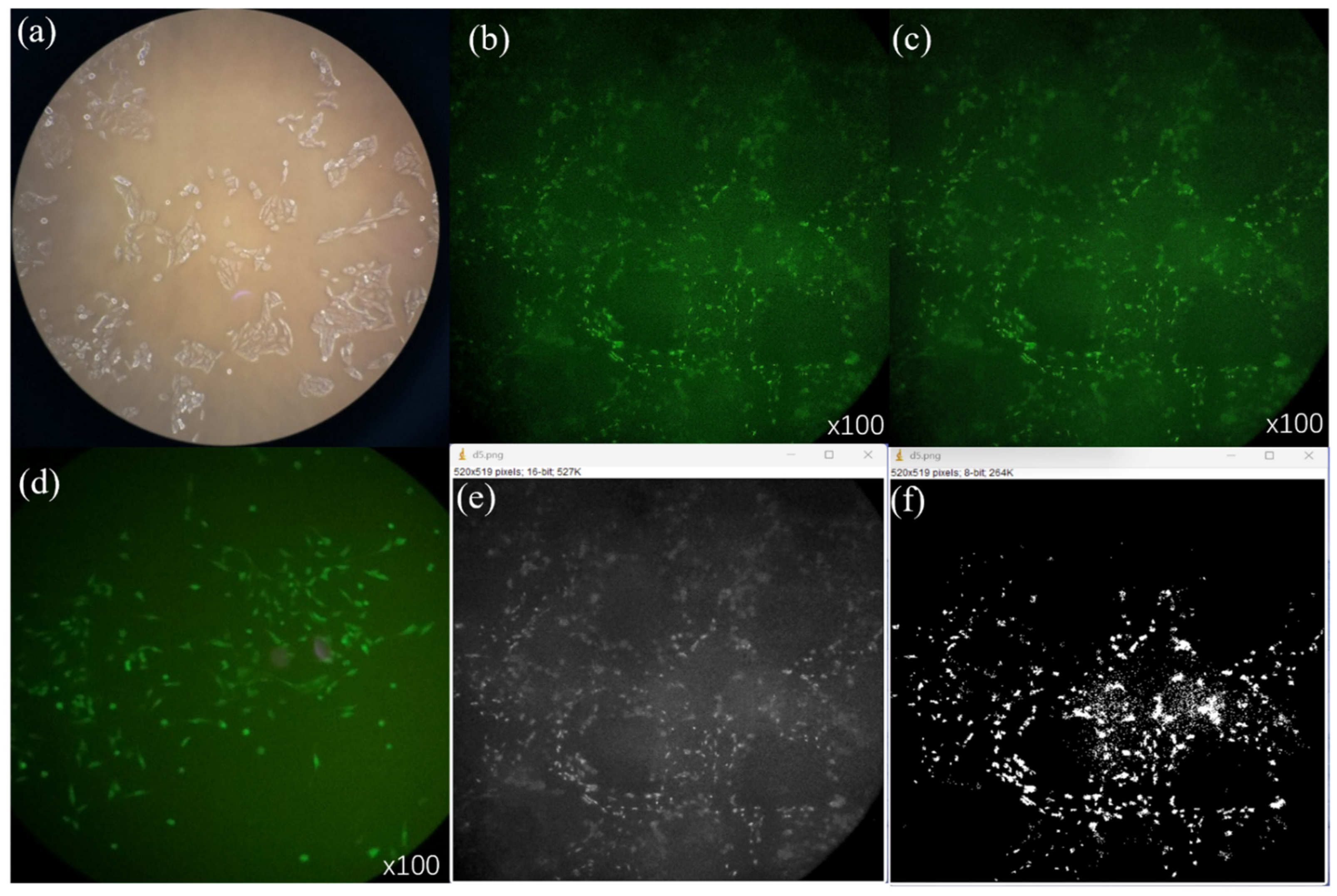 Materials 16 05312 g006